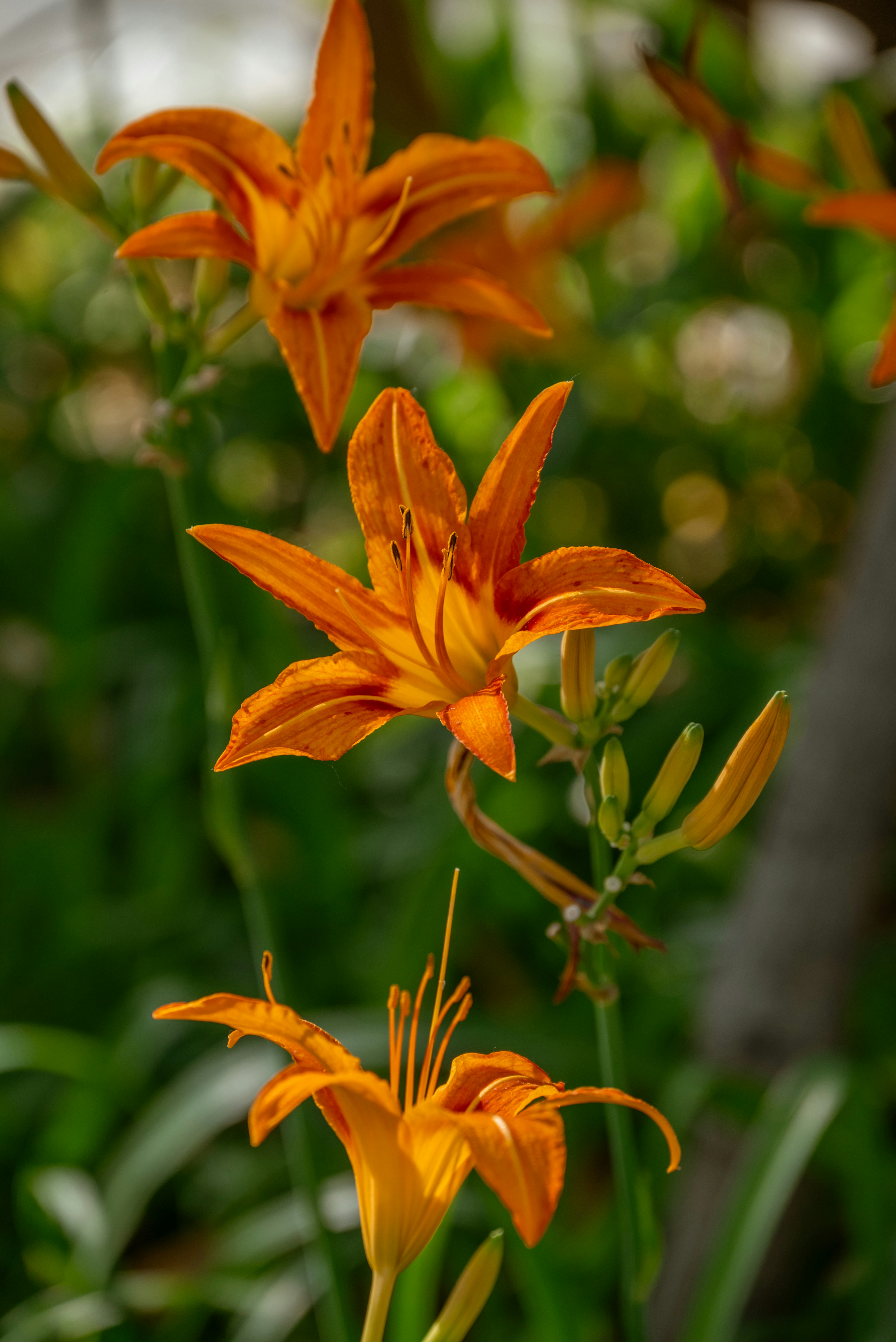 Photo by nikol_royce