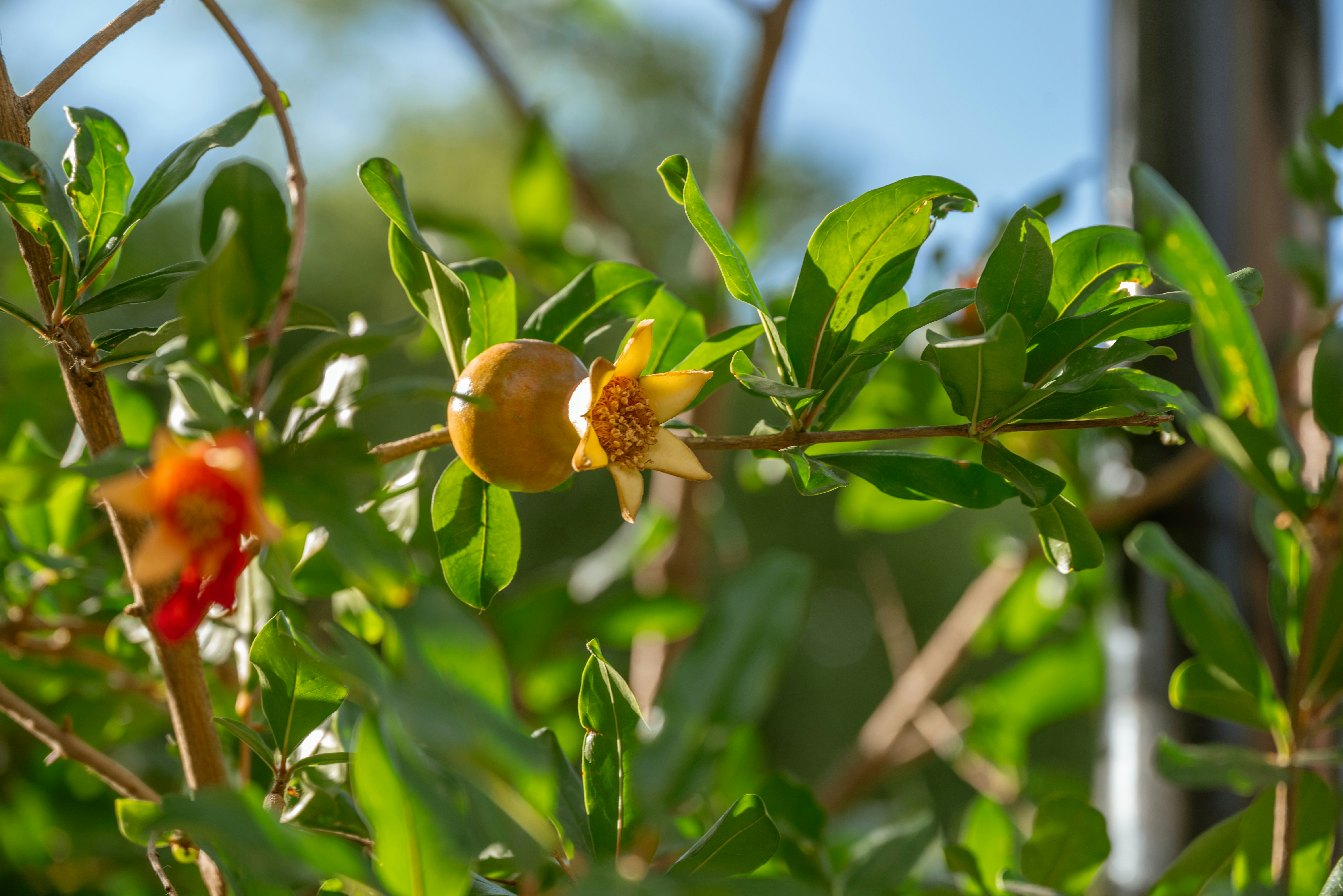 Photo by nikol_royce