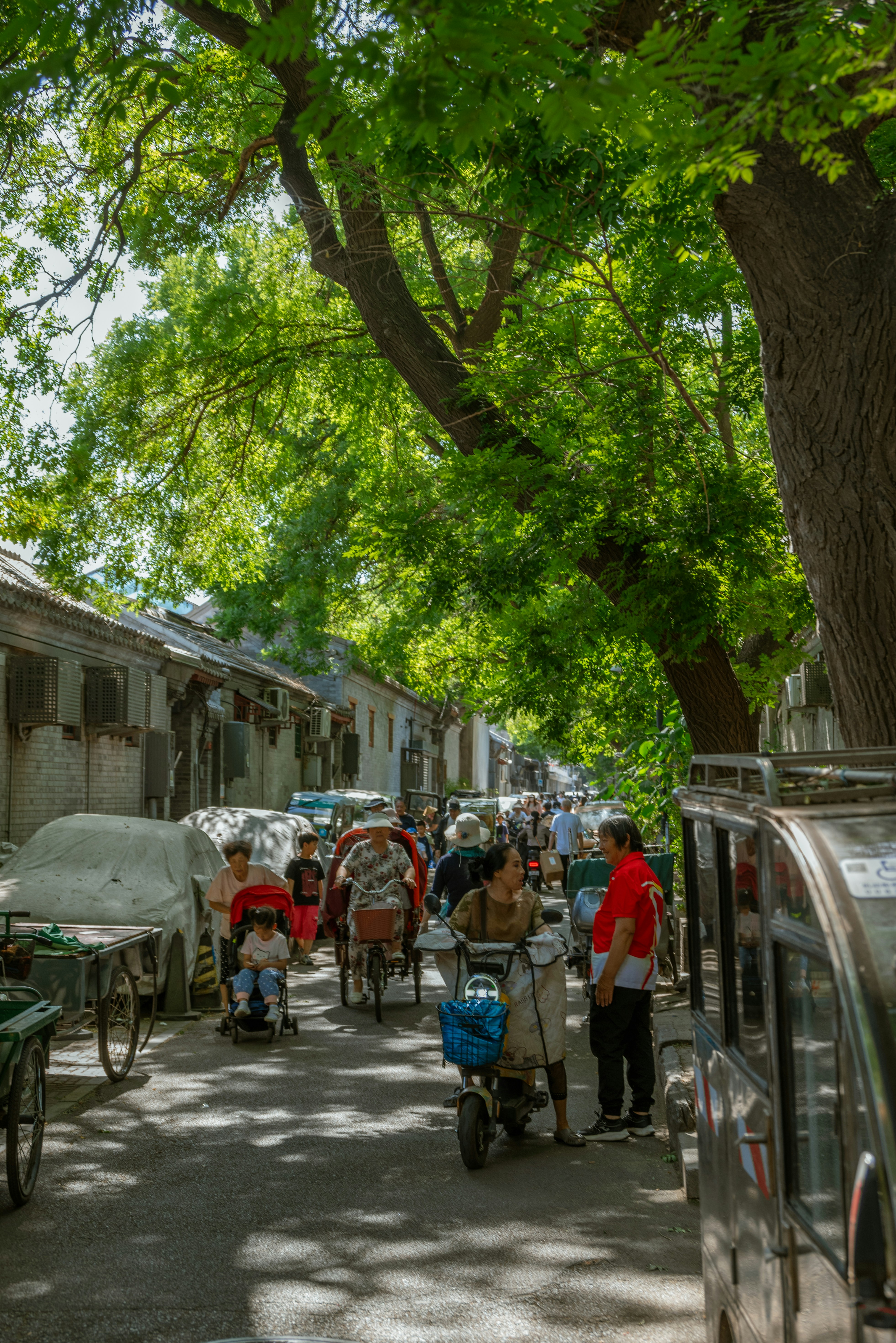 Photo by nikol_royce