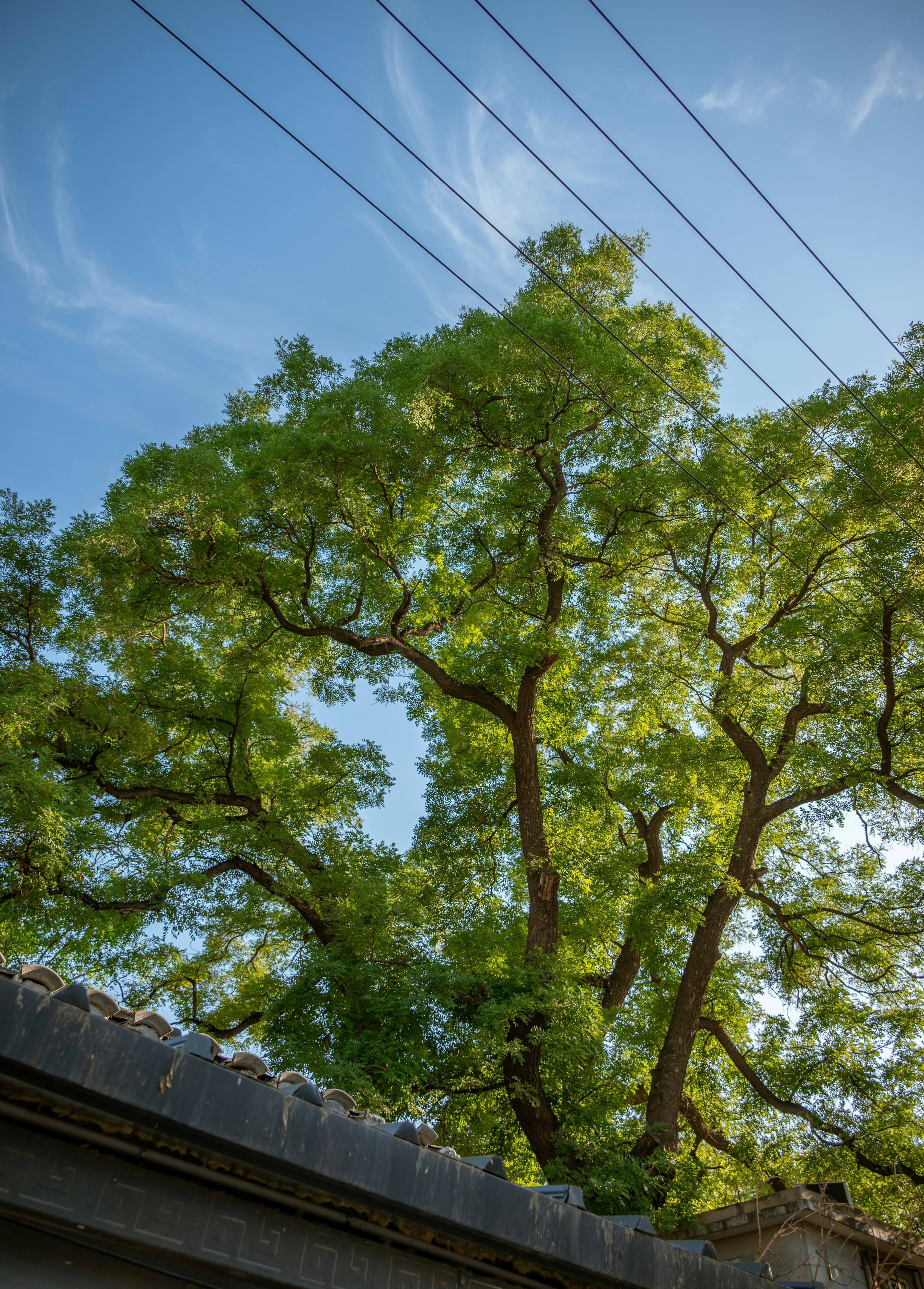 Photo by nikol_royce