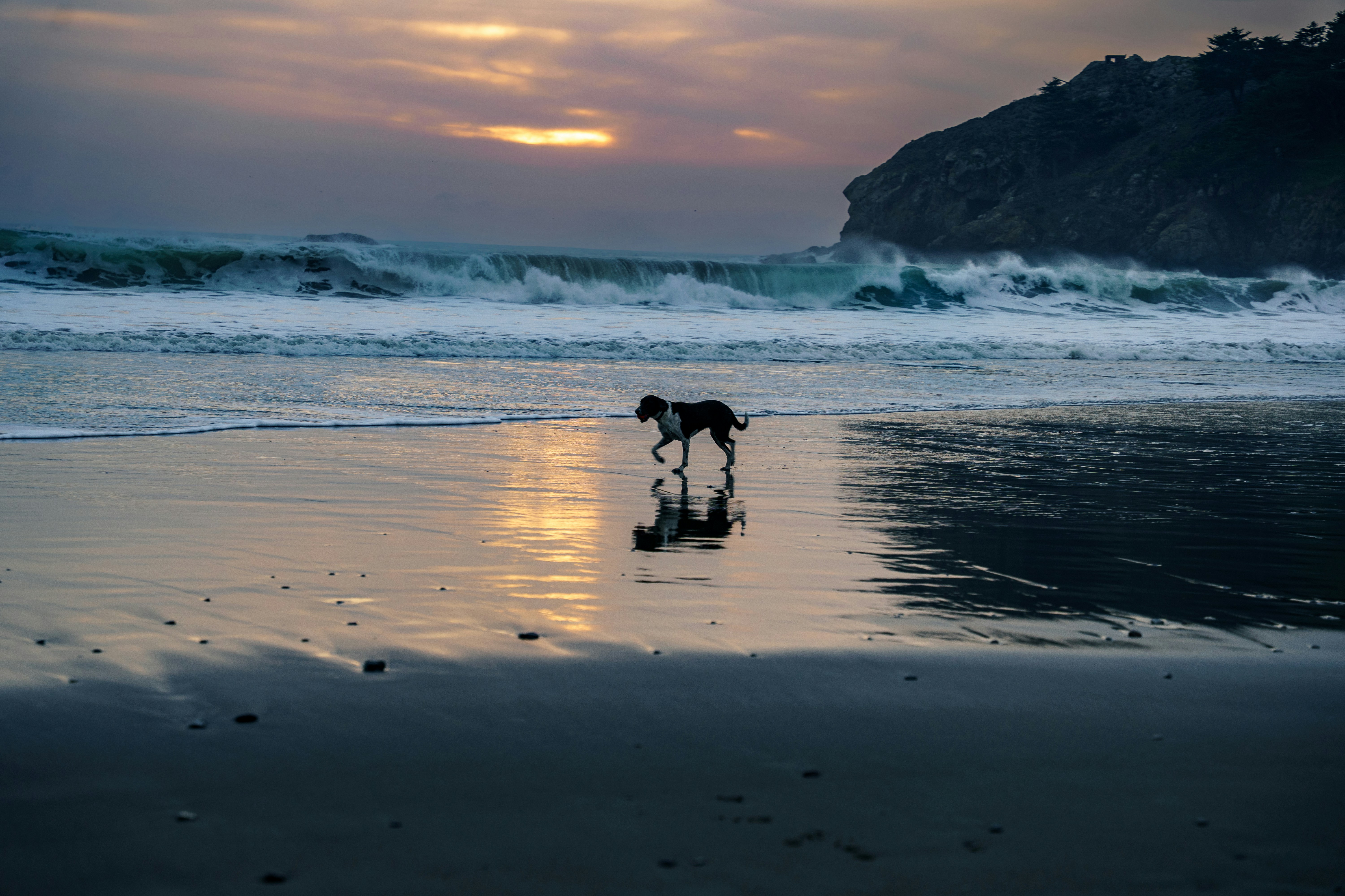 Photo by dimaibrahim