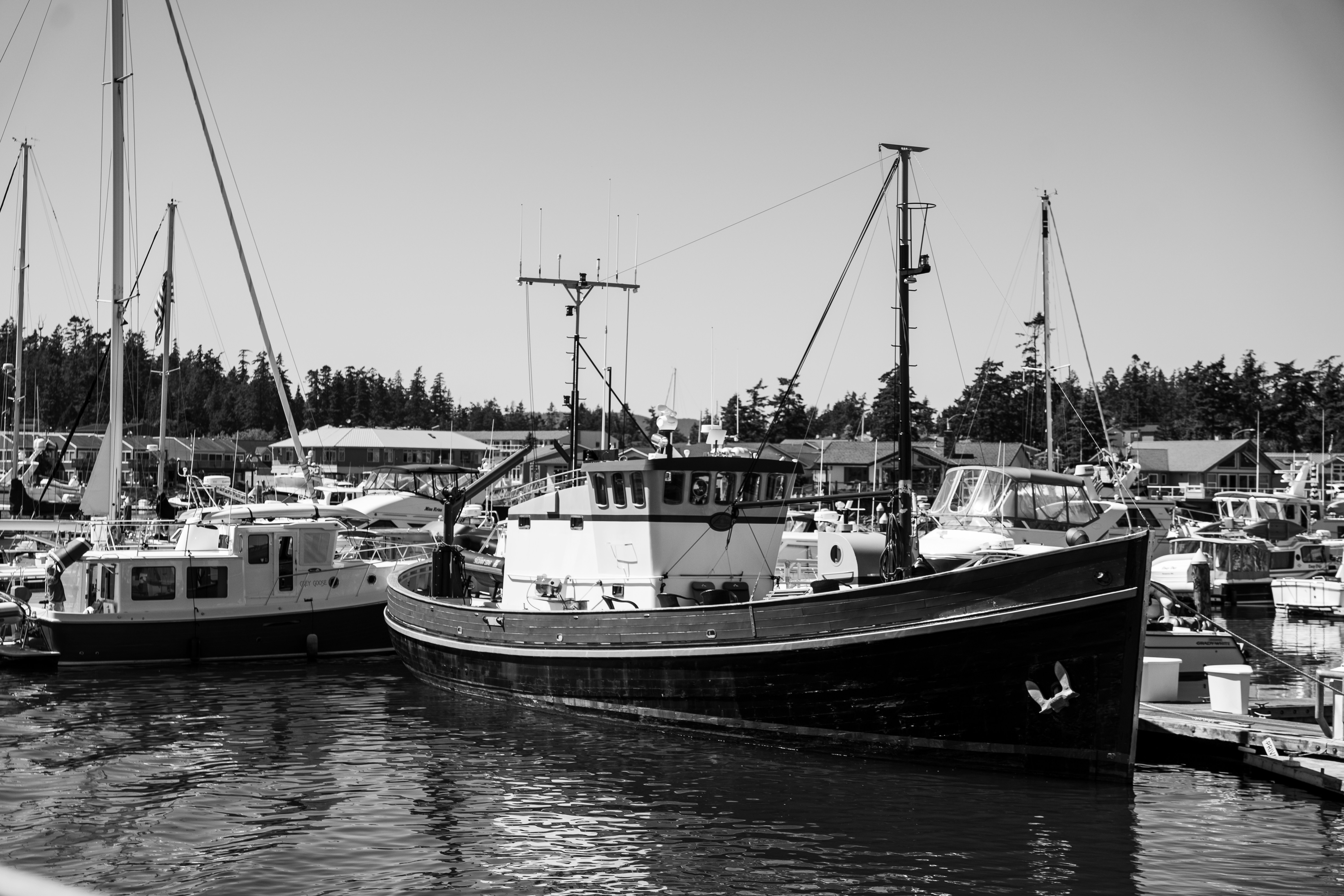 Photo by dimaibrahim