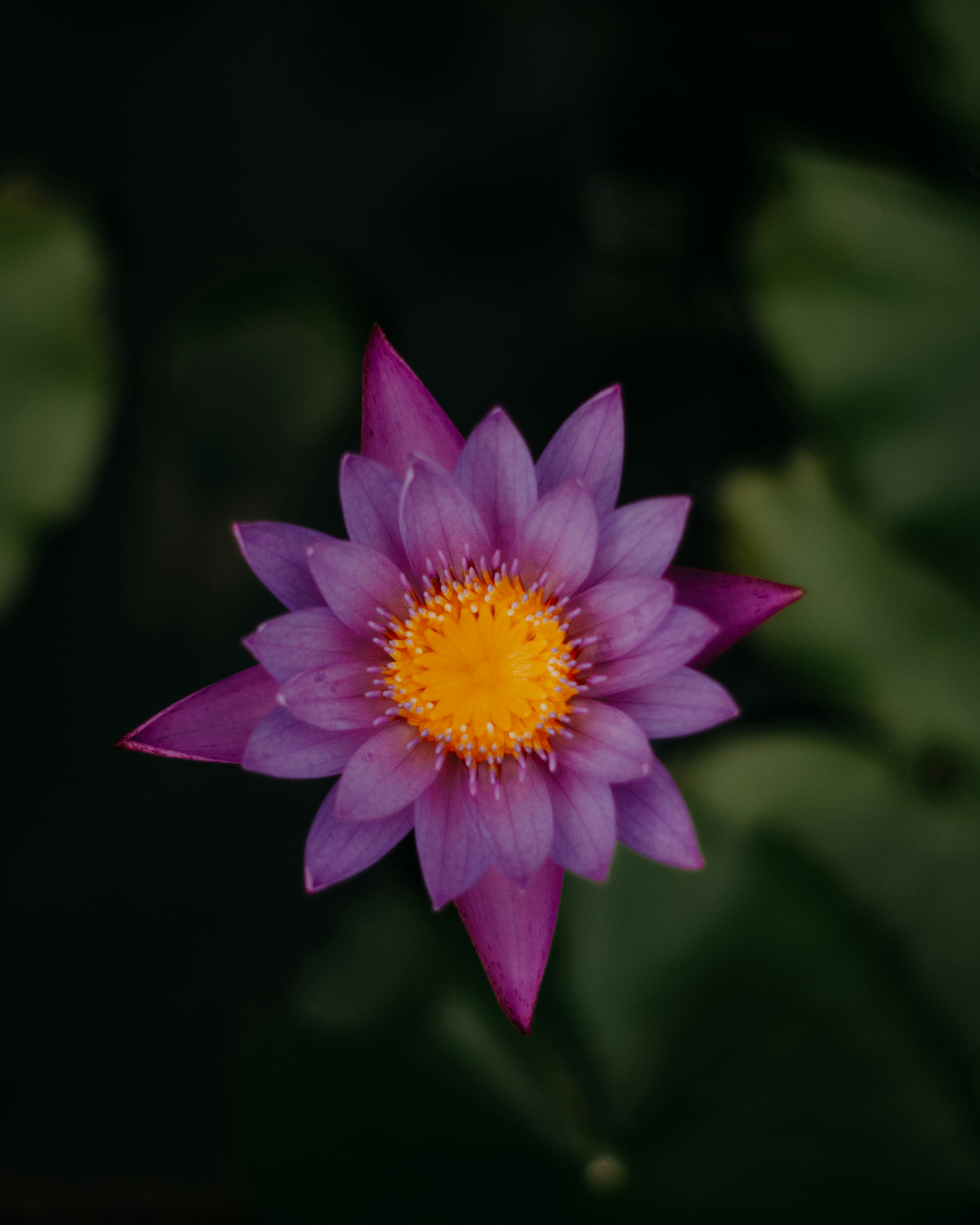 Photo by pixelbyzaki