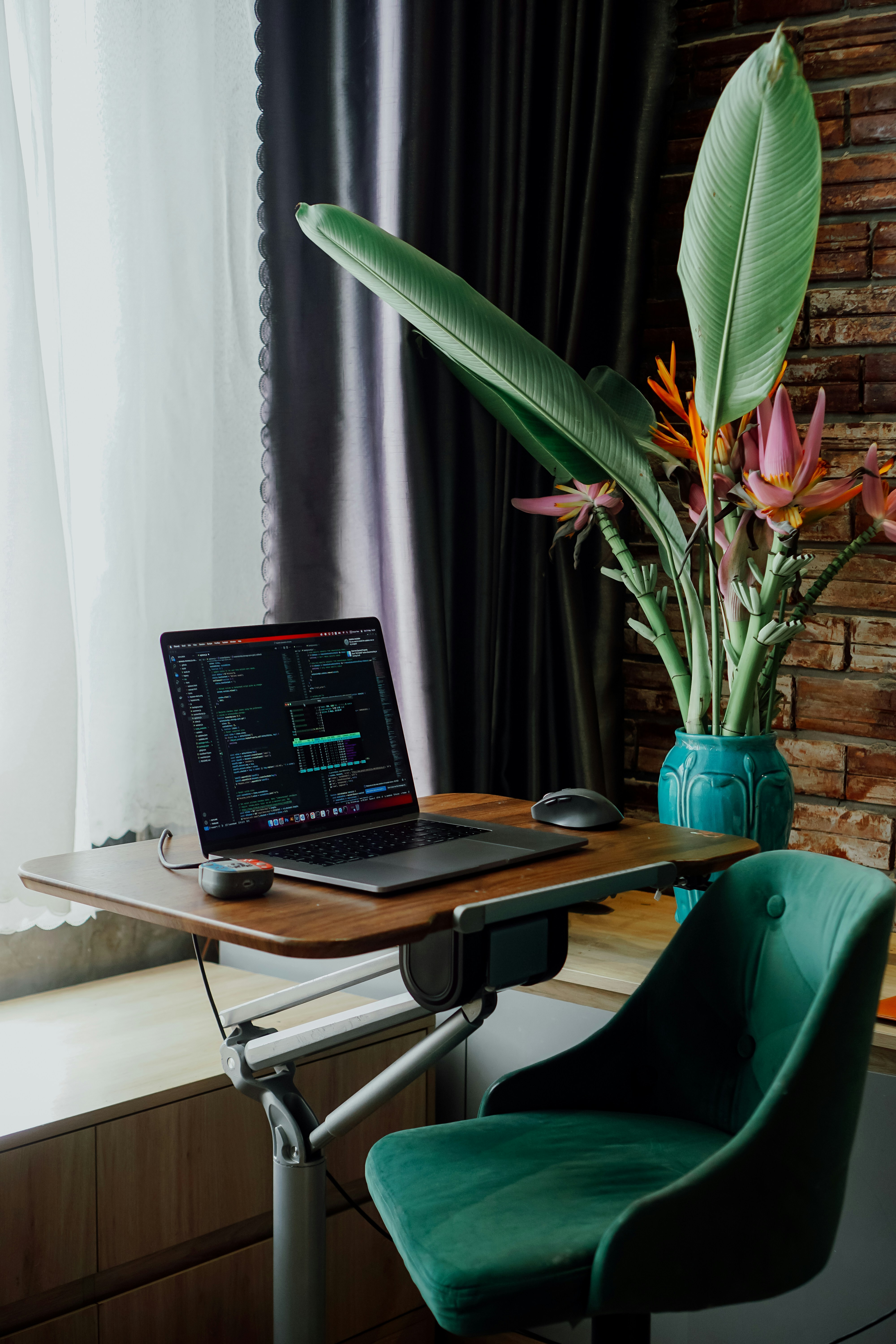Laptop and plants sit beside a sunny window.