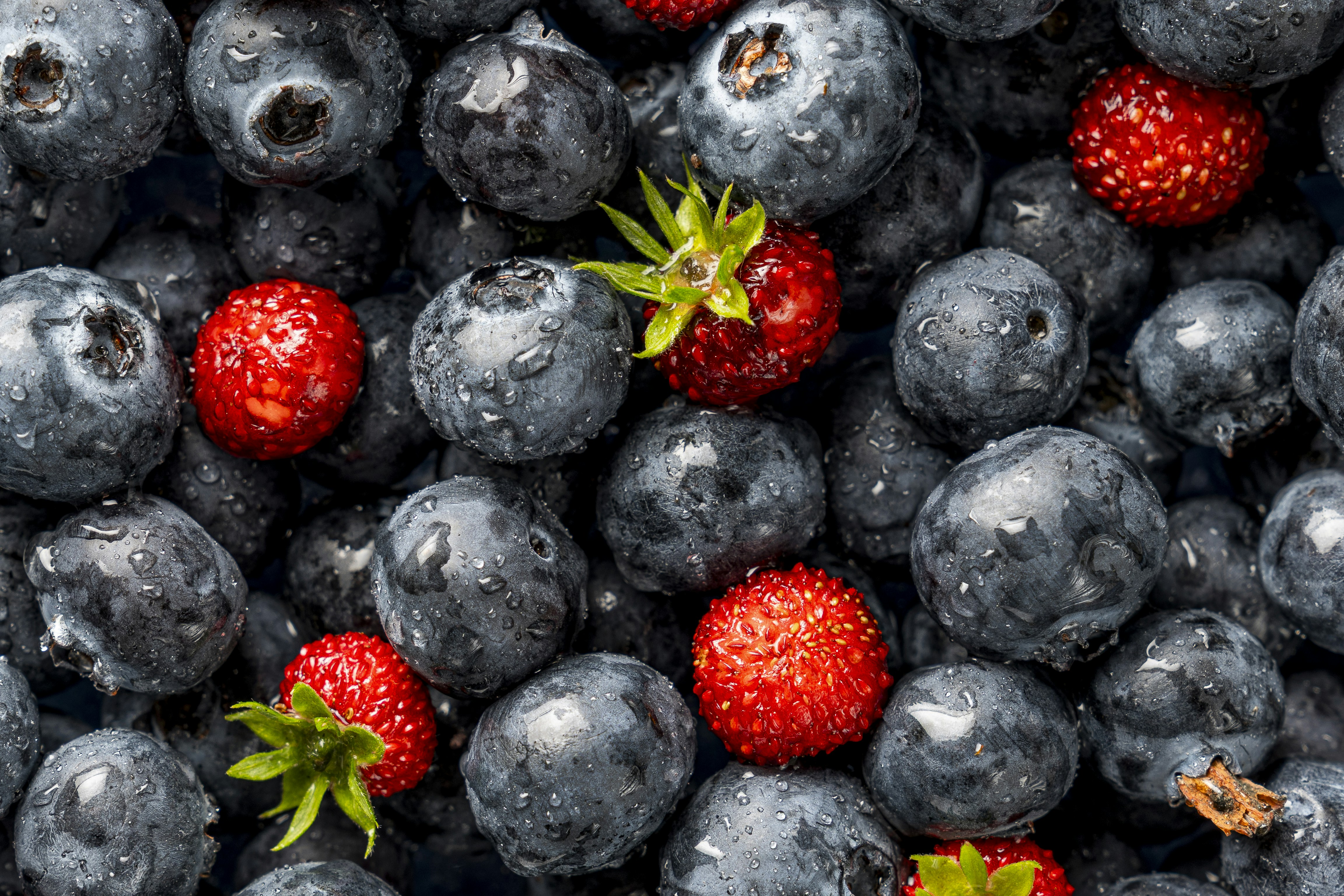 Photo by jonah_loeffler