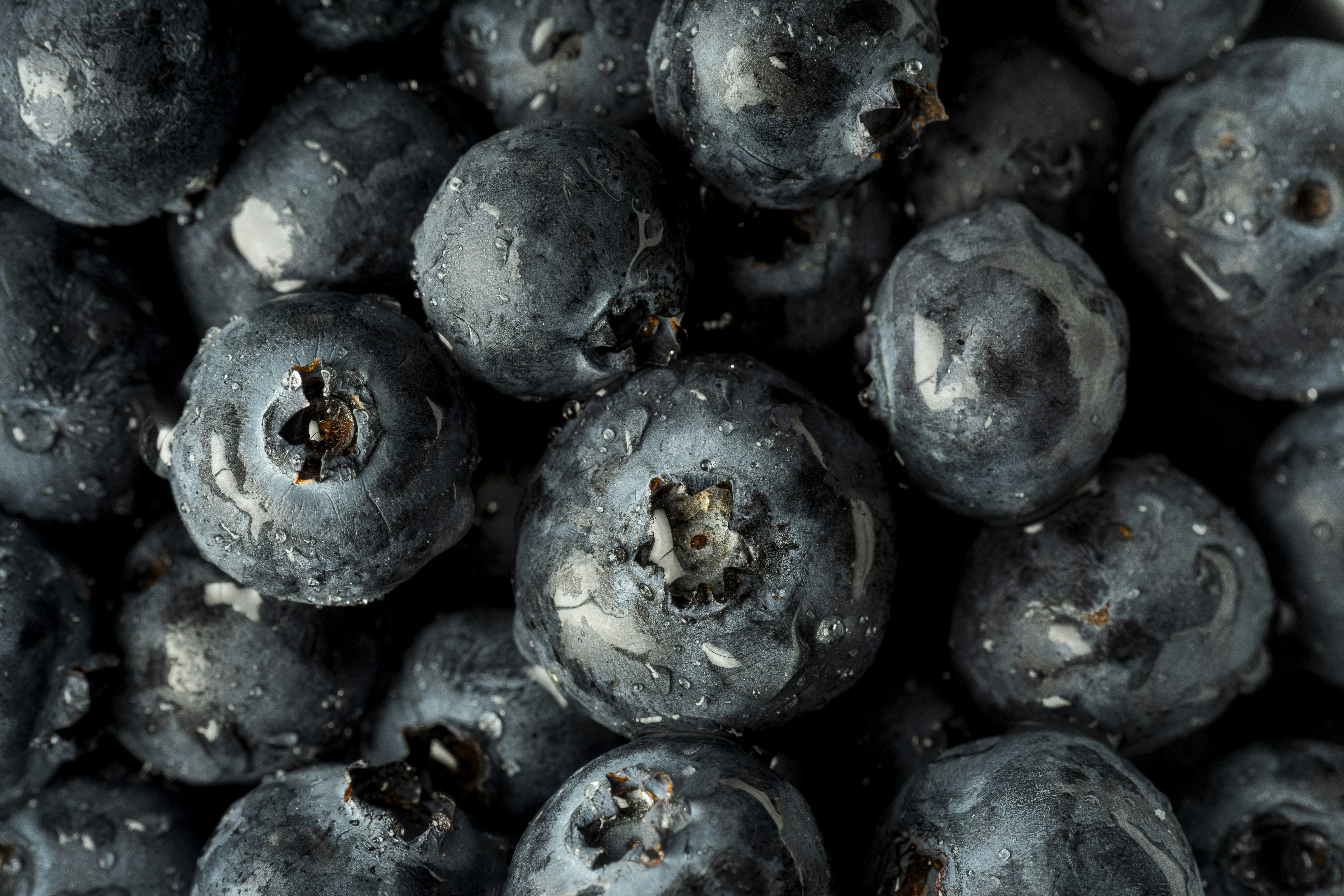 Photo by jonah_loeffler