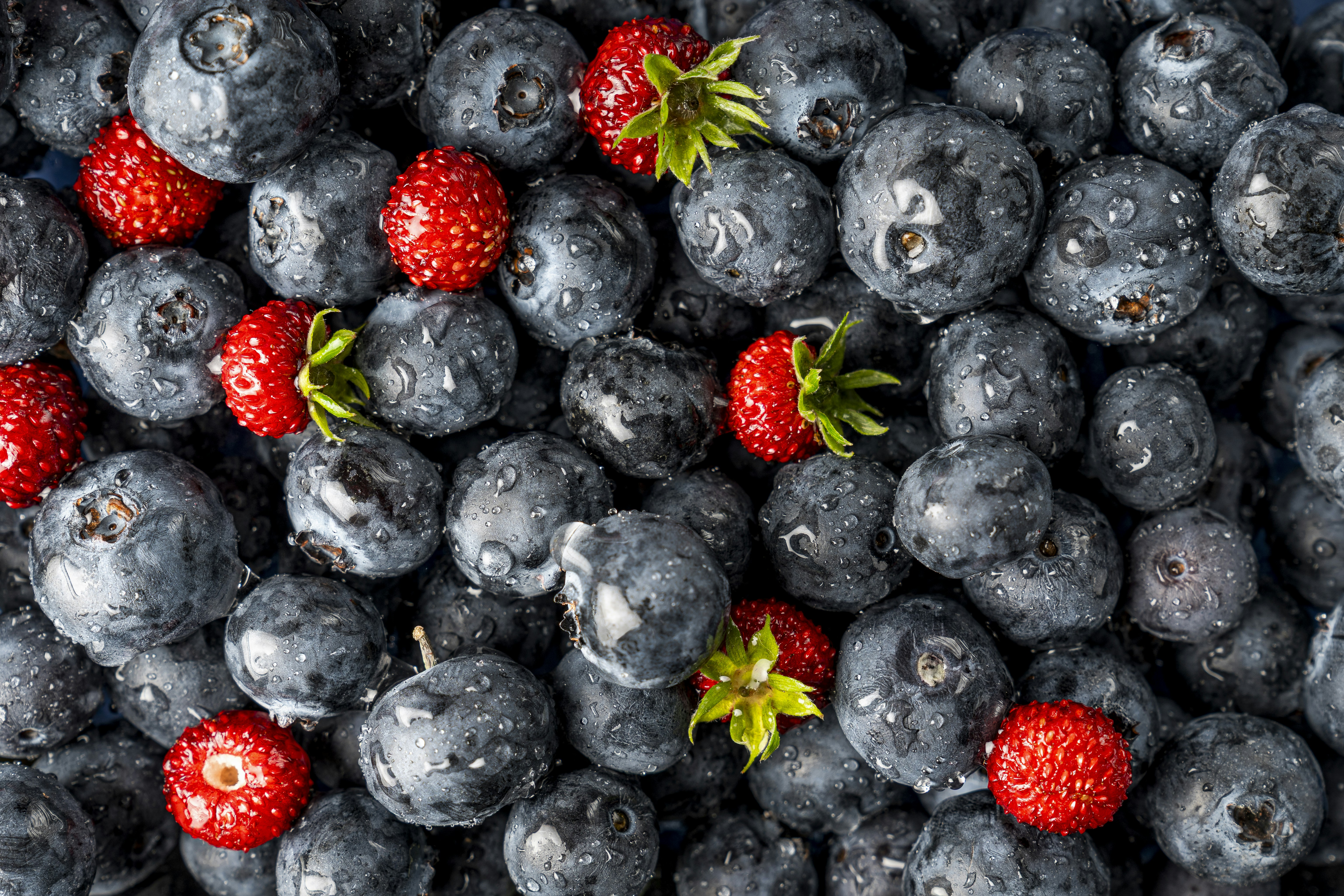 Photo by jonah_loeffler