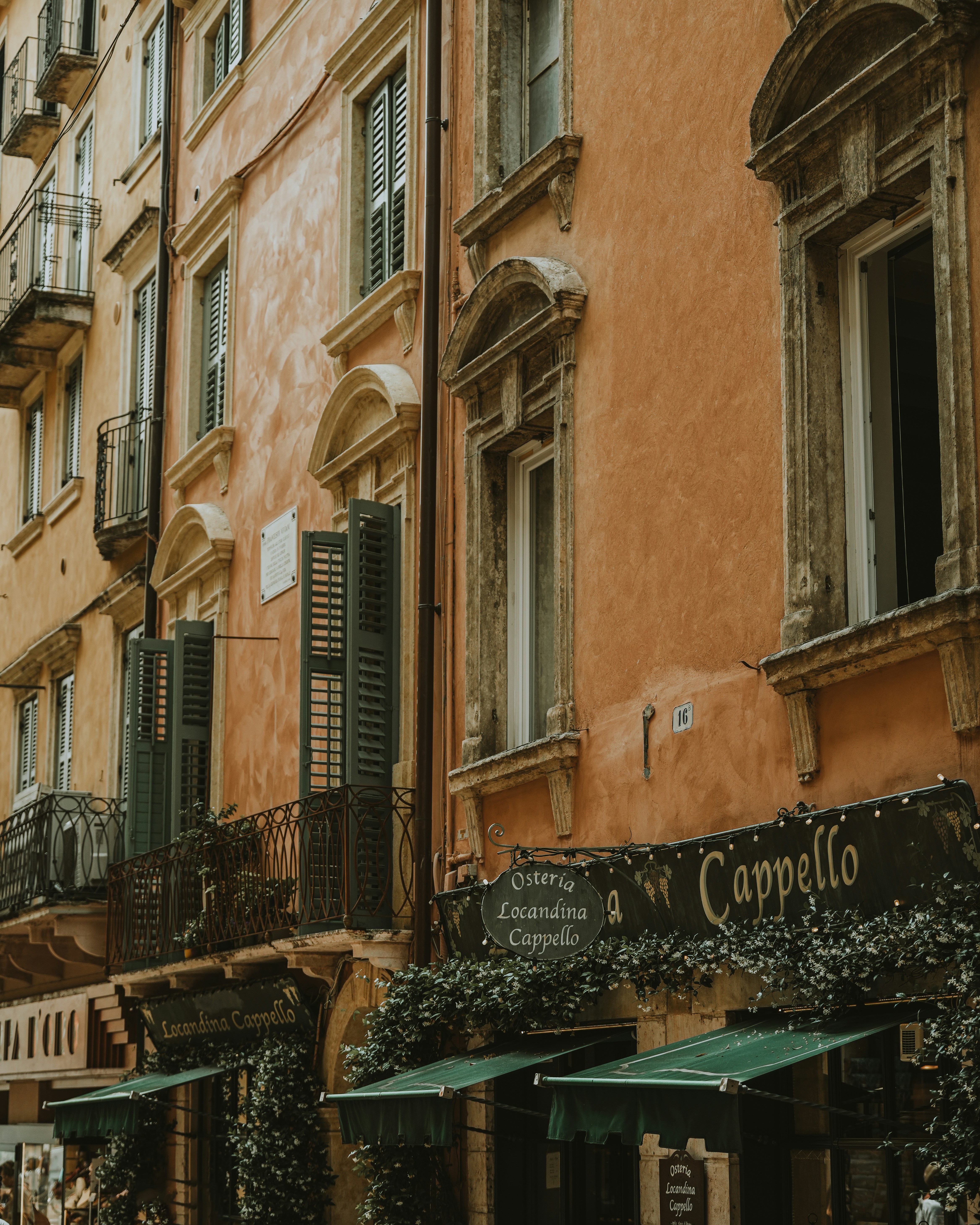 Photo by nenadkaevik