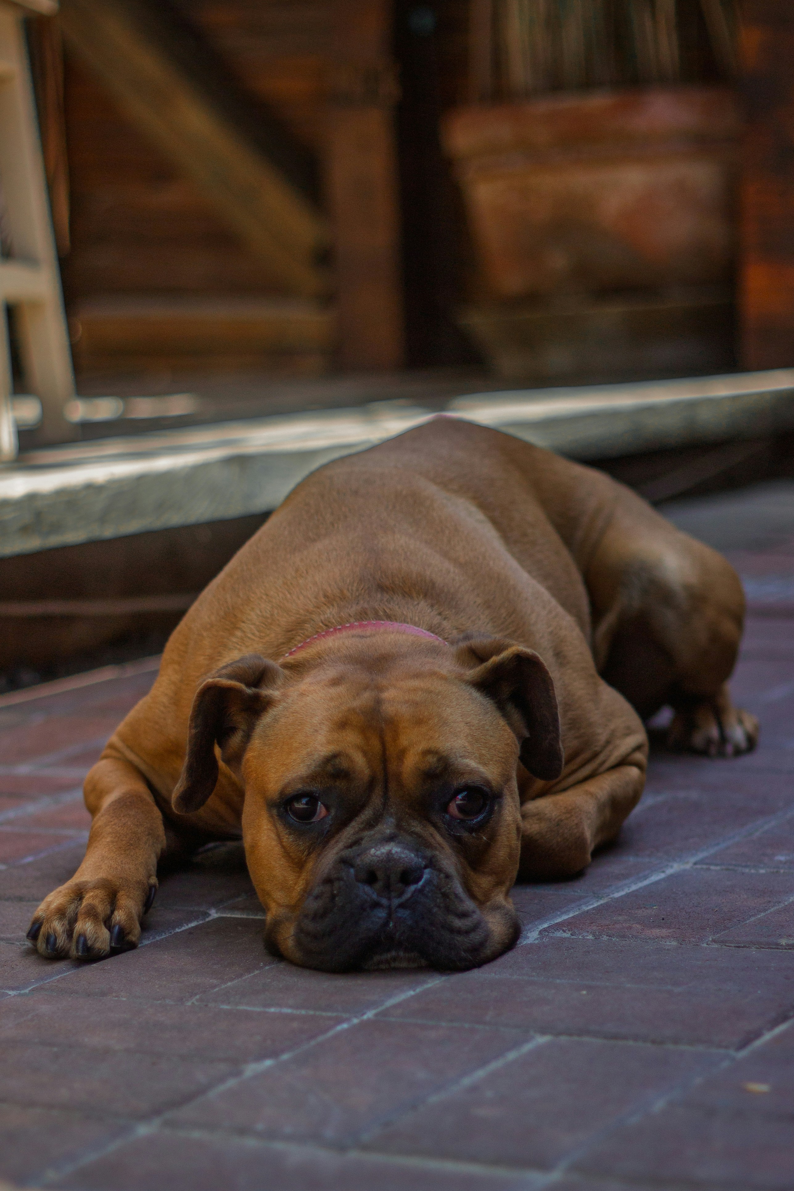 Photo by shotbyellamateea