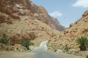A road winds through a canyon on a sunny day.