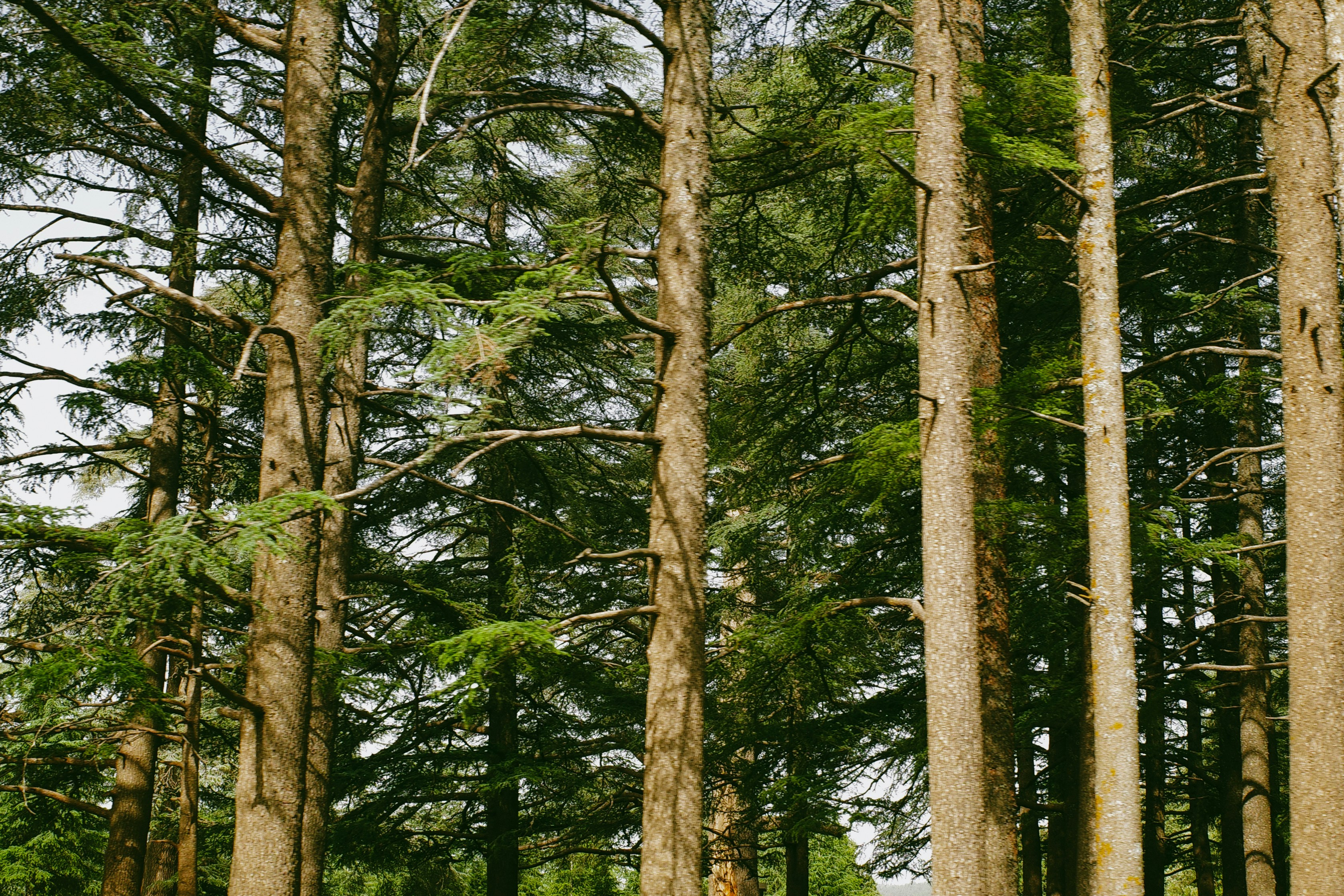 WordPress photo 718692d37f | WordPress.org, image size:3000x2000