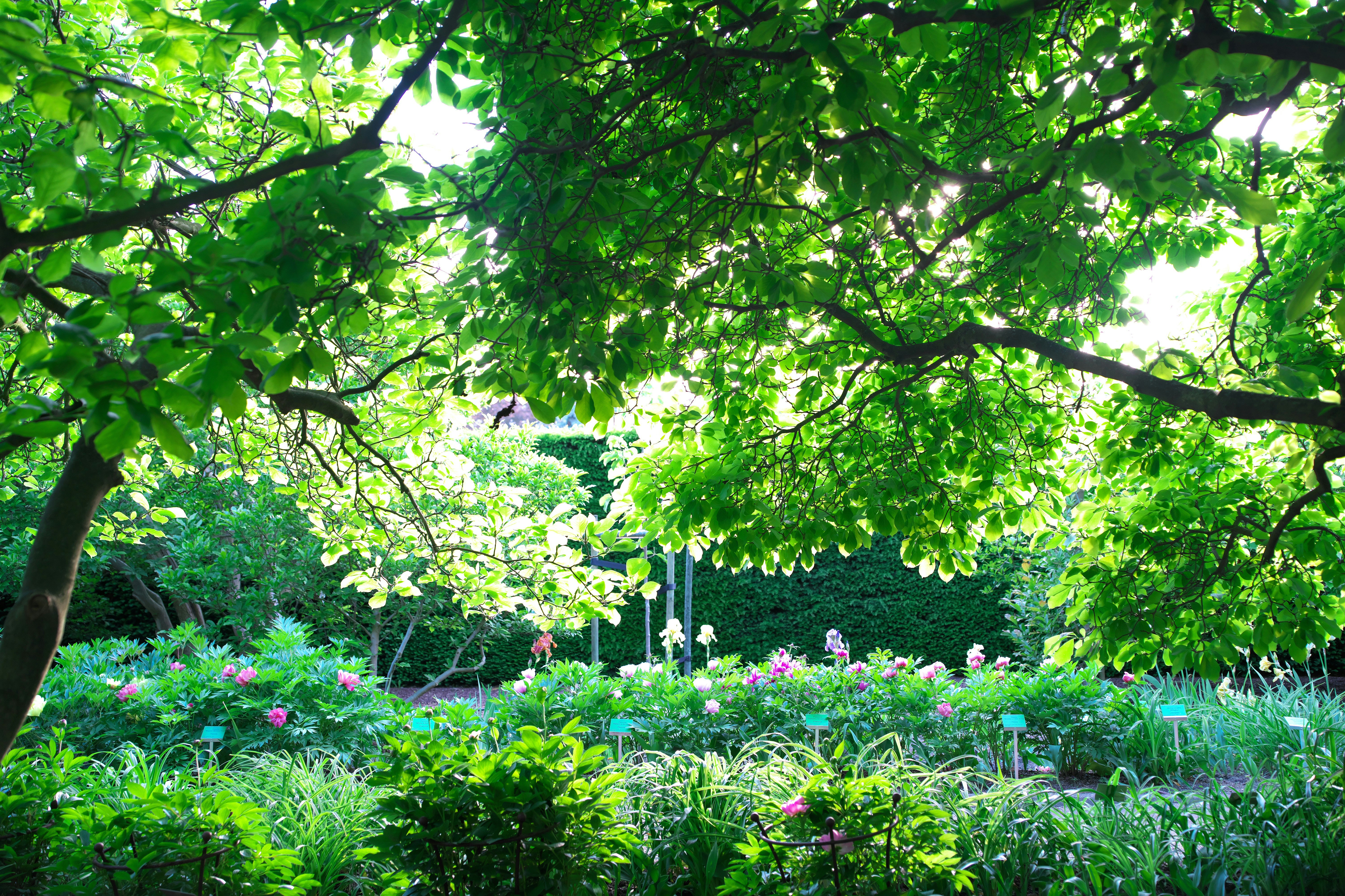 About Affordable Landscaping By Dons