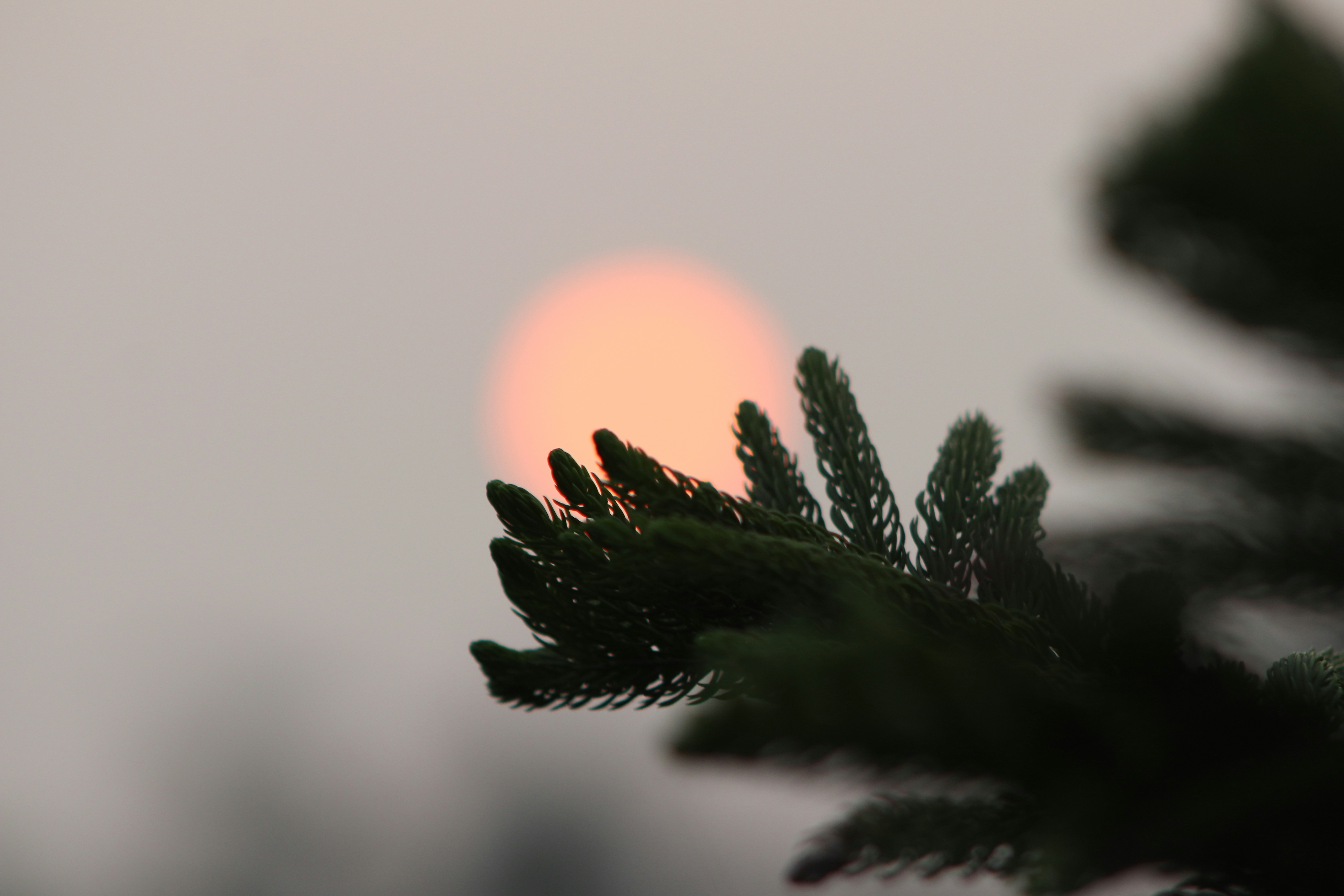 Photo by lostman_319620