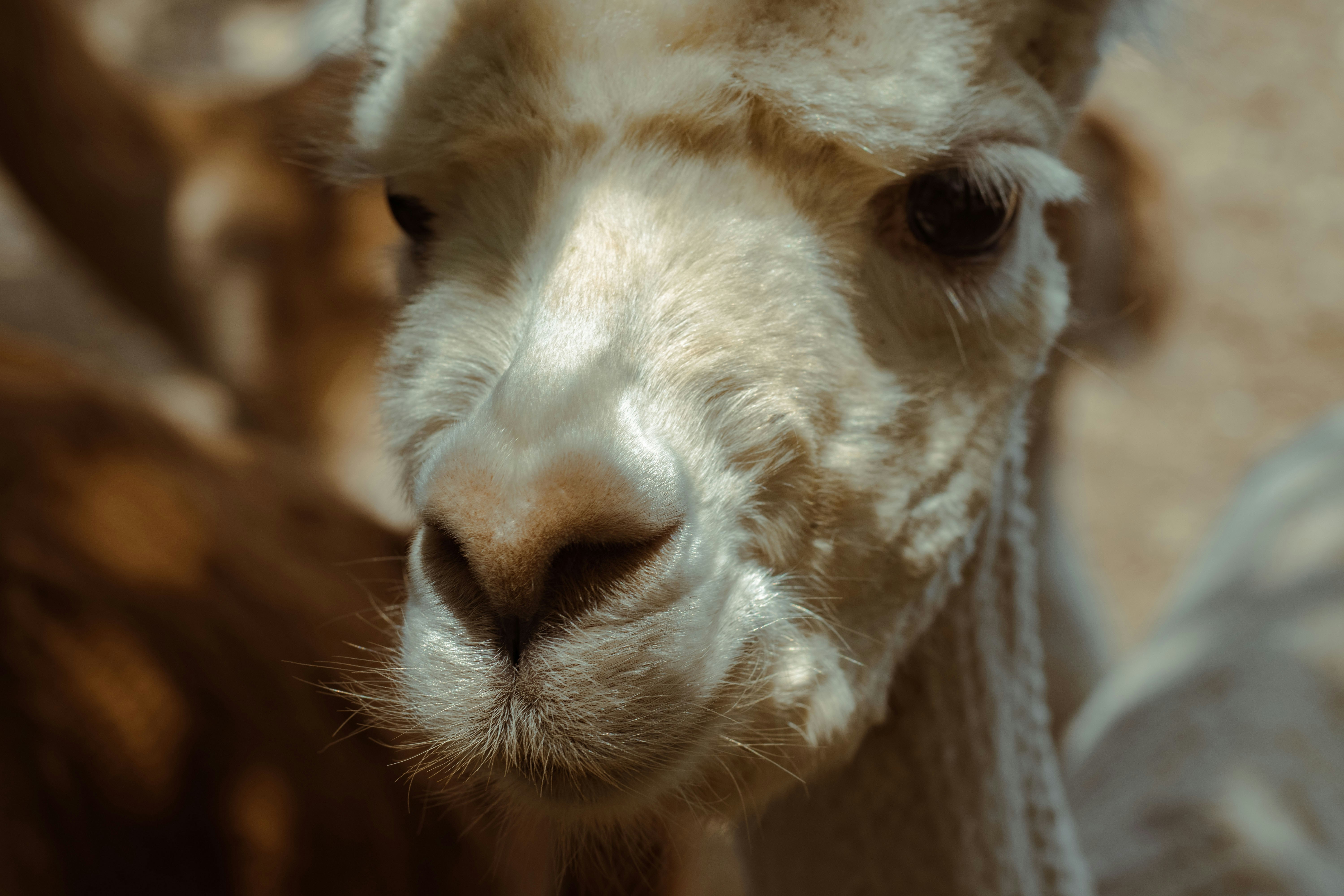 Gabala Ázerbajdžán