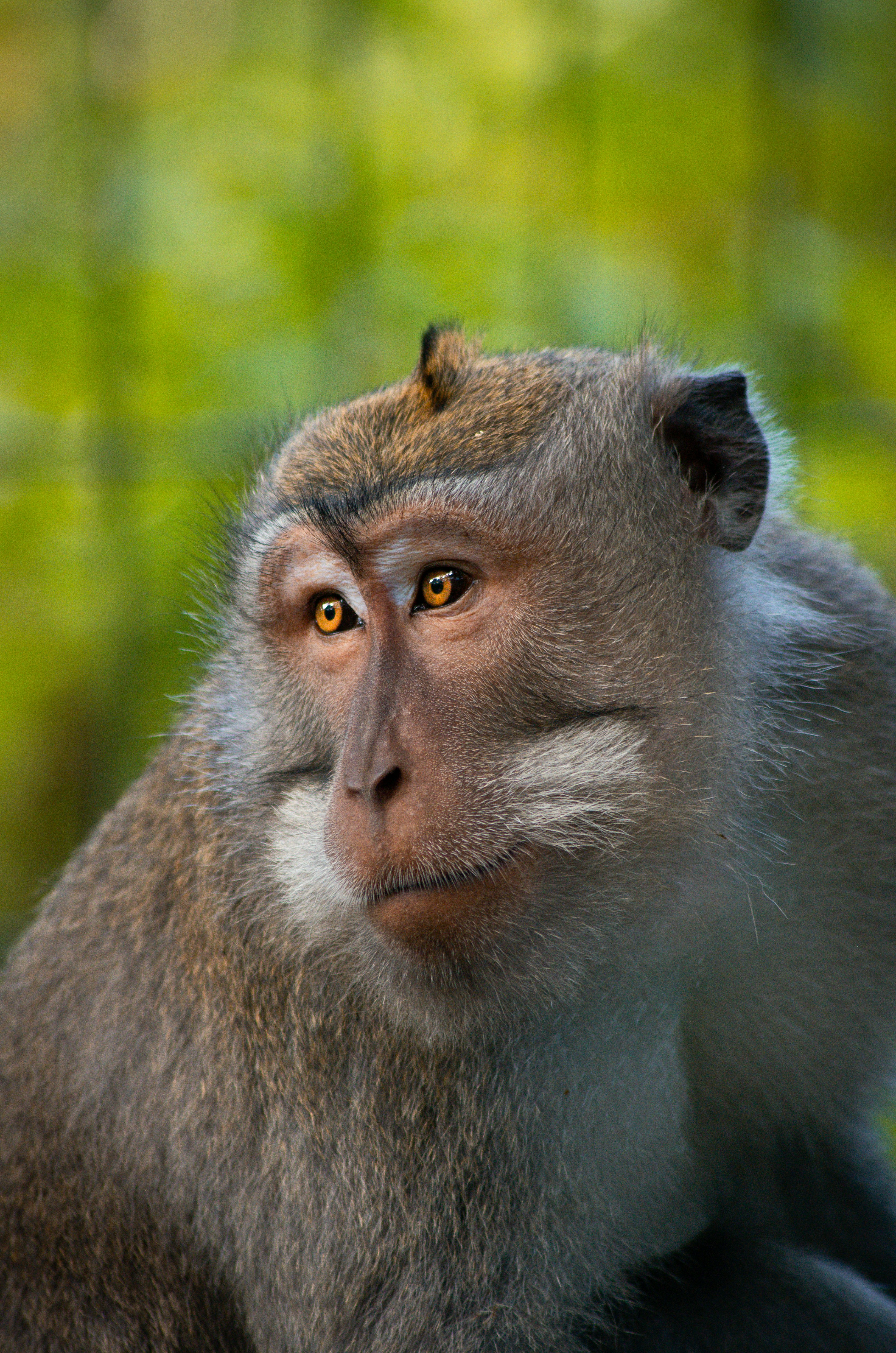 Photo by framesofdiscovery