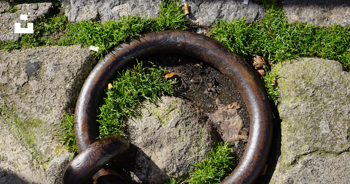 A rusty ring embedded in stone and moss. photo – Free Portugal Image on ...