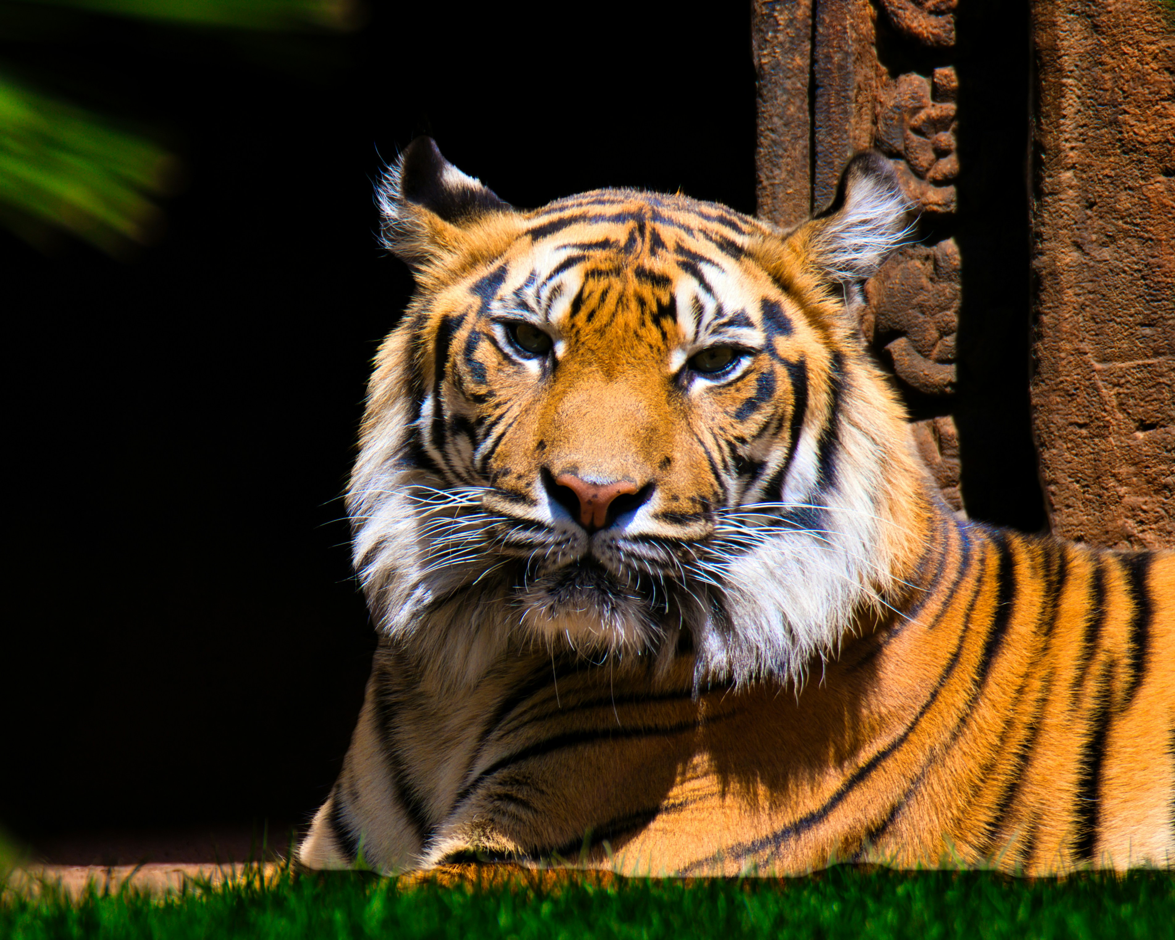 Photo by torben_gettermann