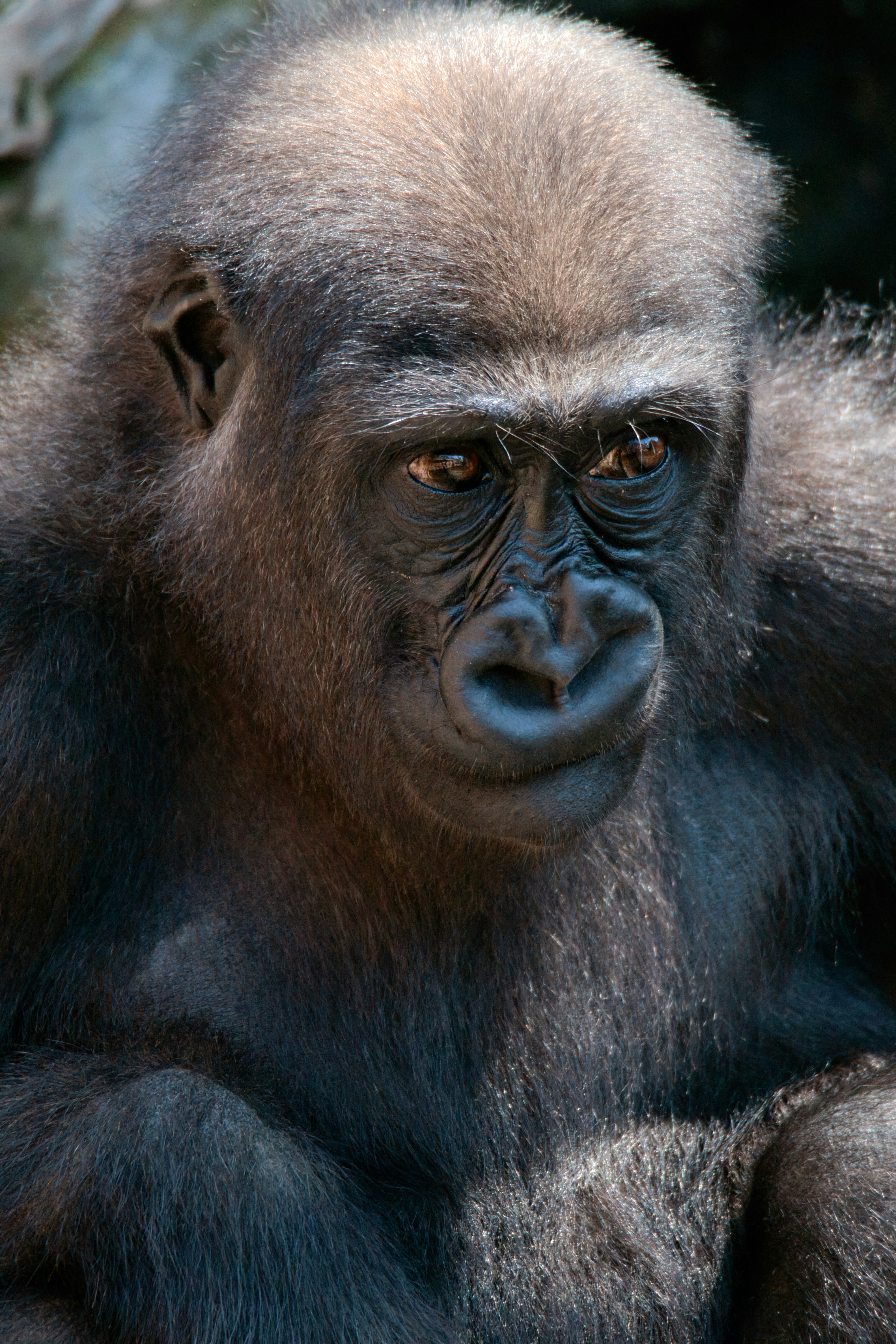 Photo by torben_gettermann