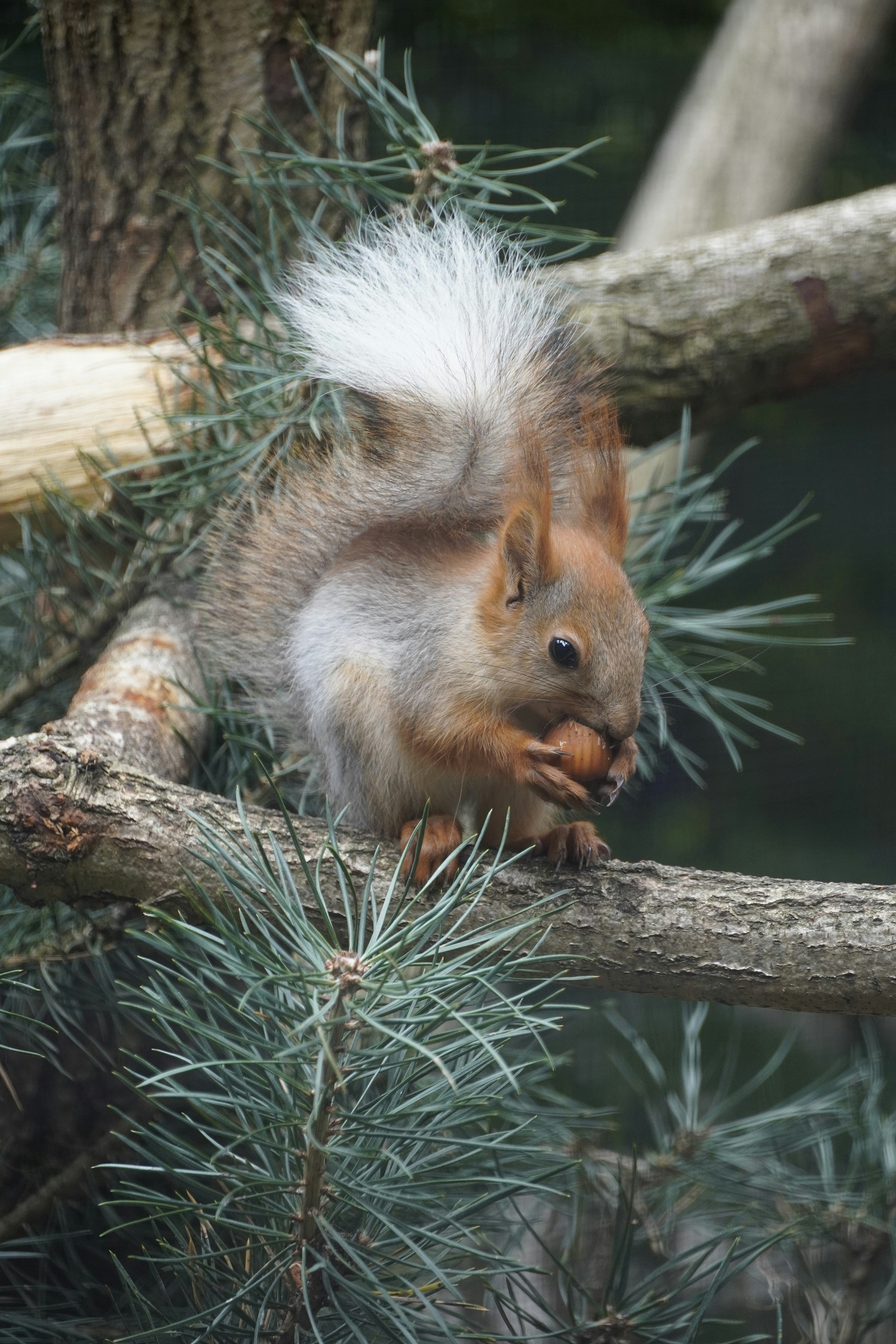 Photo by todorandonov