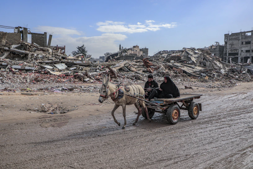 Donkey cart travels through a war-torn landscape.
