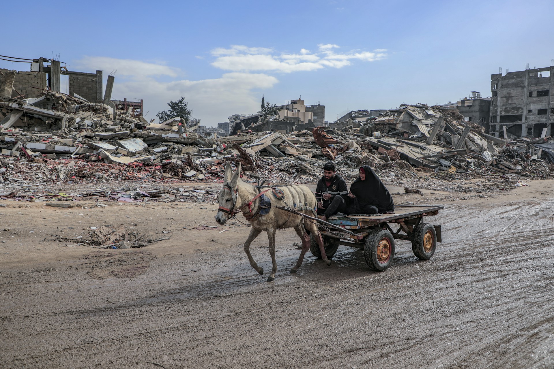 Donkey cart travels through a war-torn landscape.