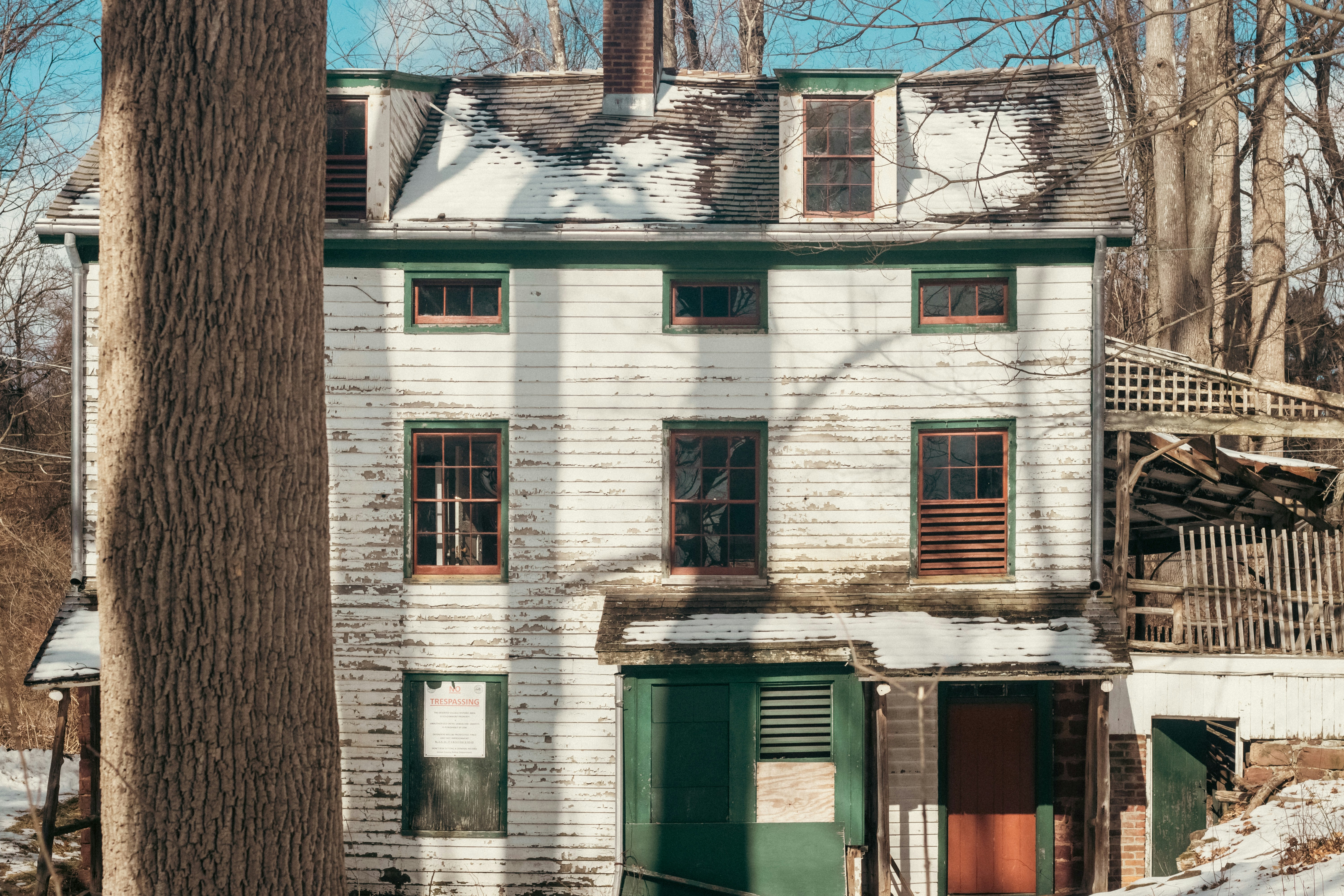 Photo by thegardenstateexplorerr