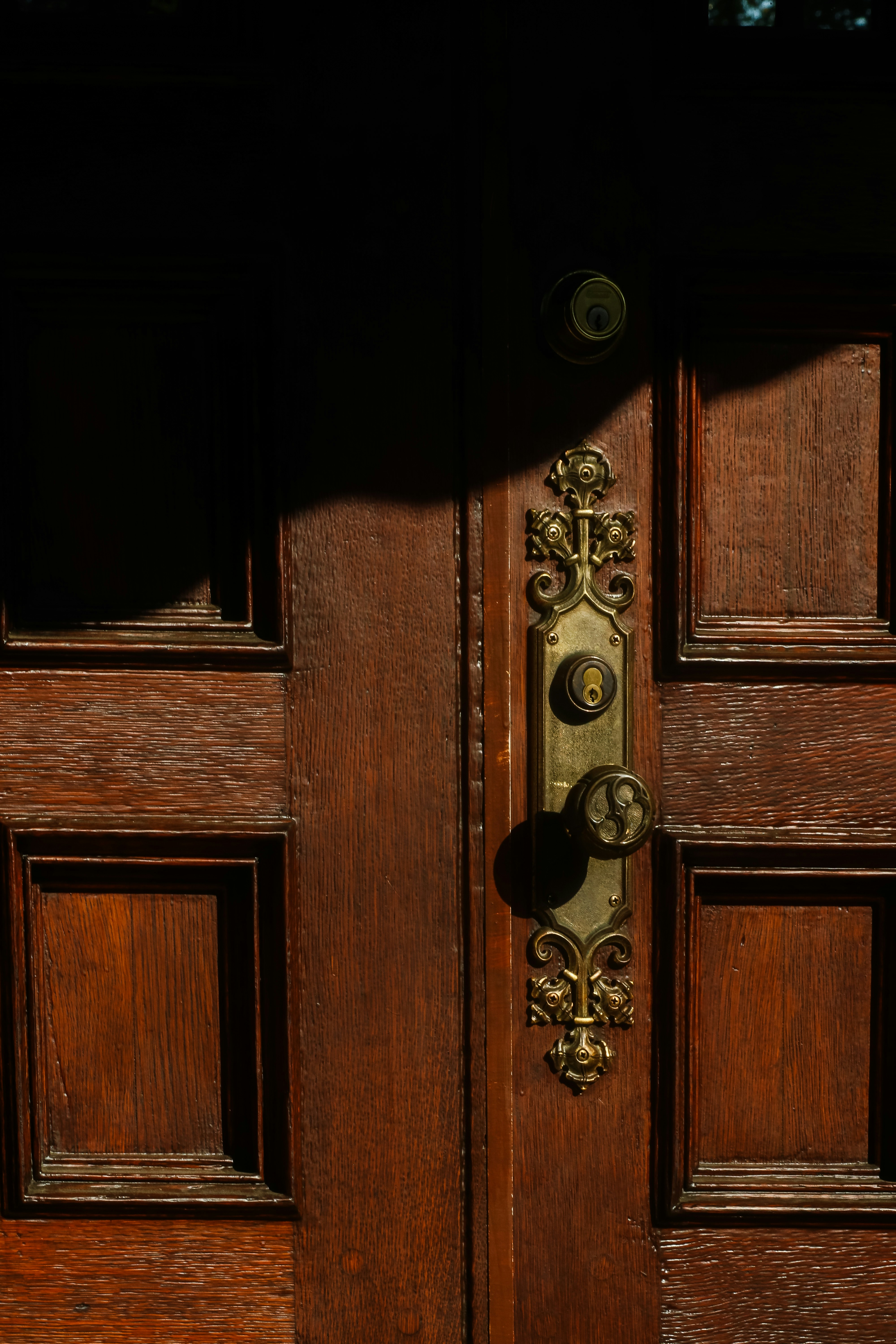 Photo by thegardenstateexplorerr