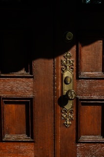 Detailed wooden door with ornate hardware.