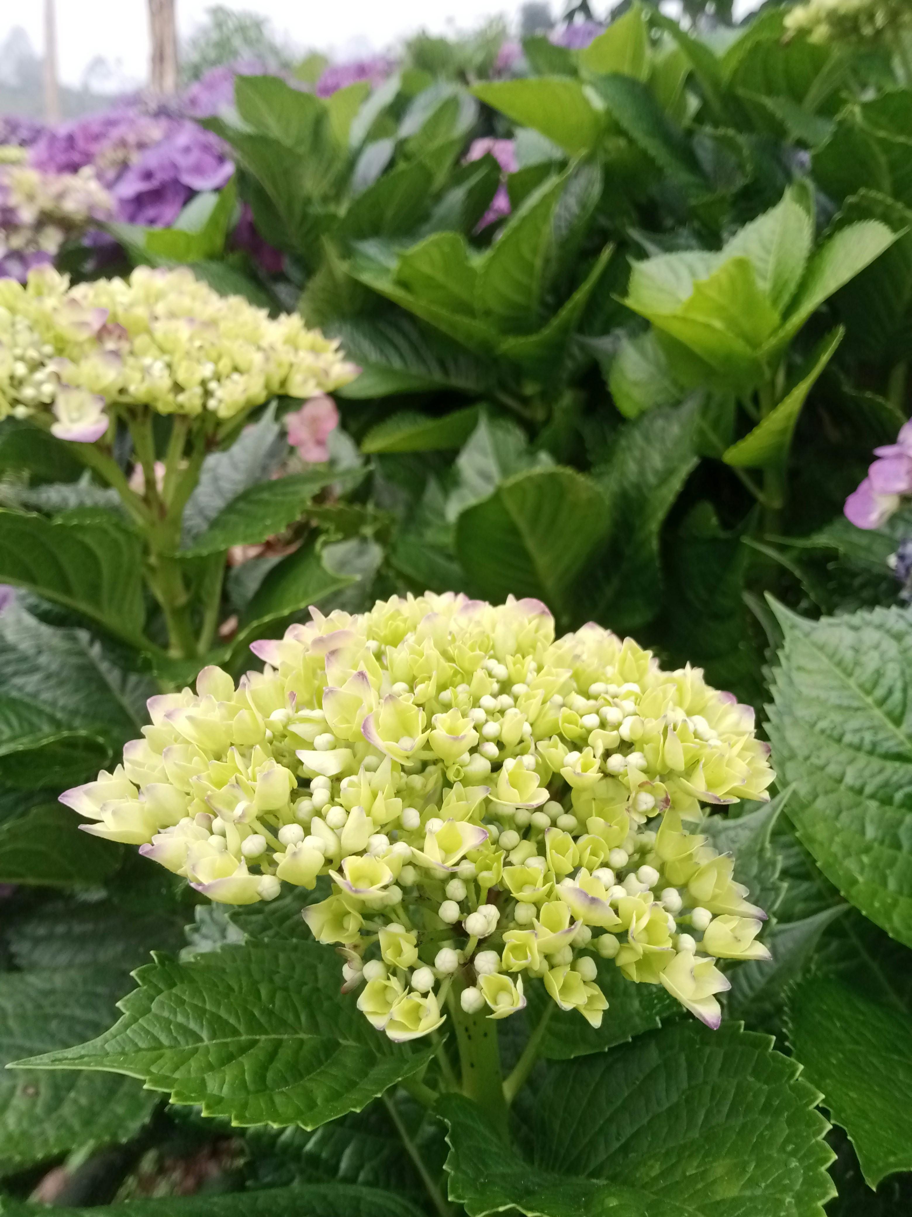 Photo by sugi007_mlg