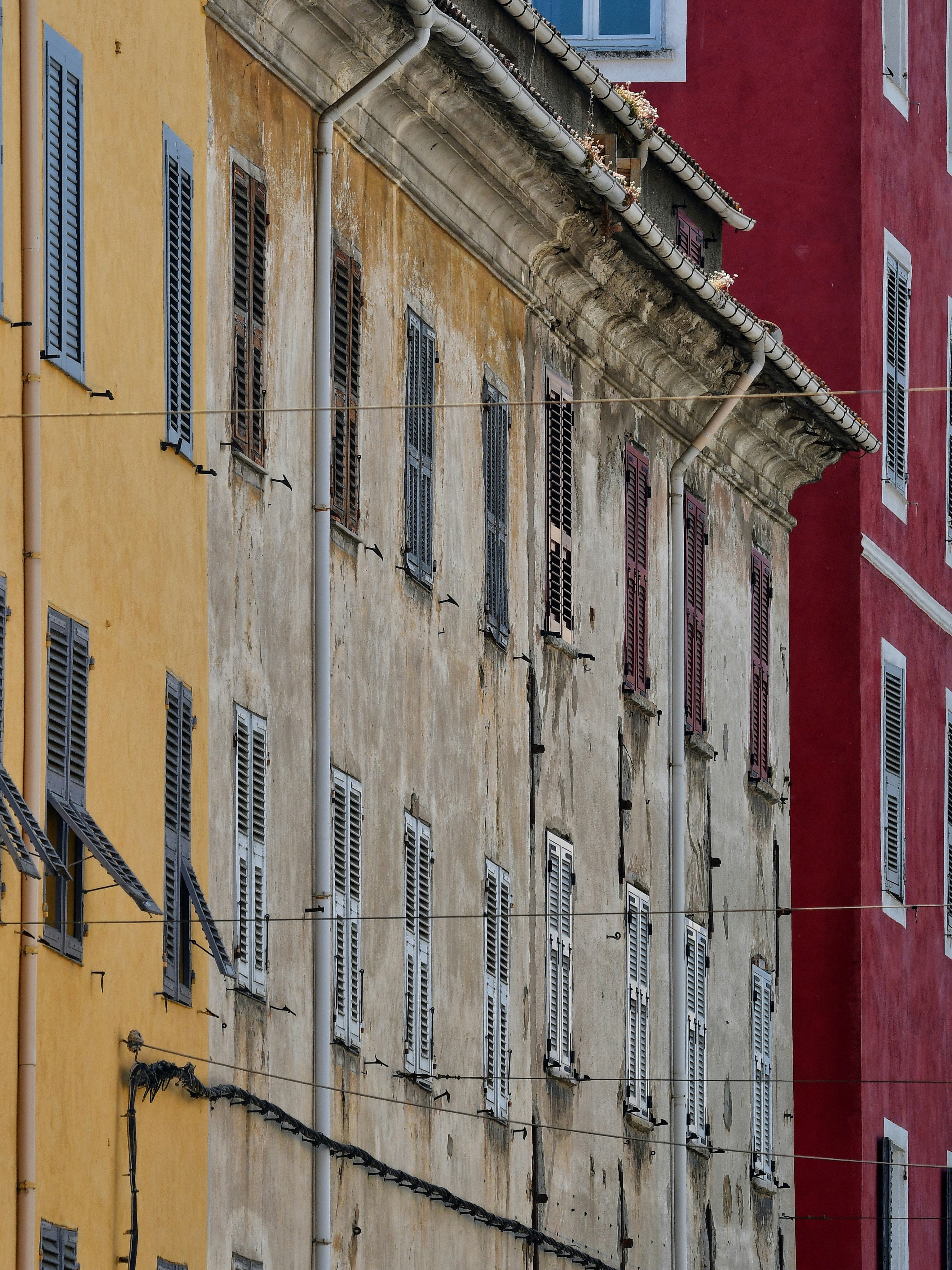 Photo by pedrino5_official