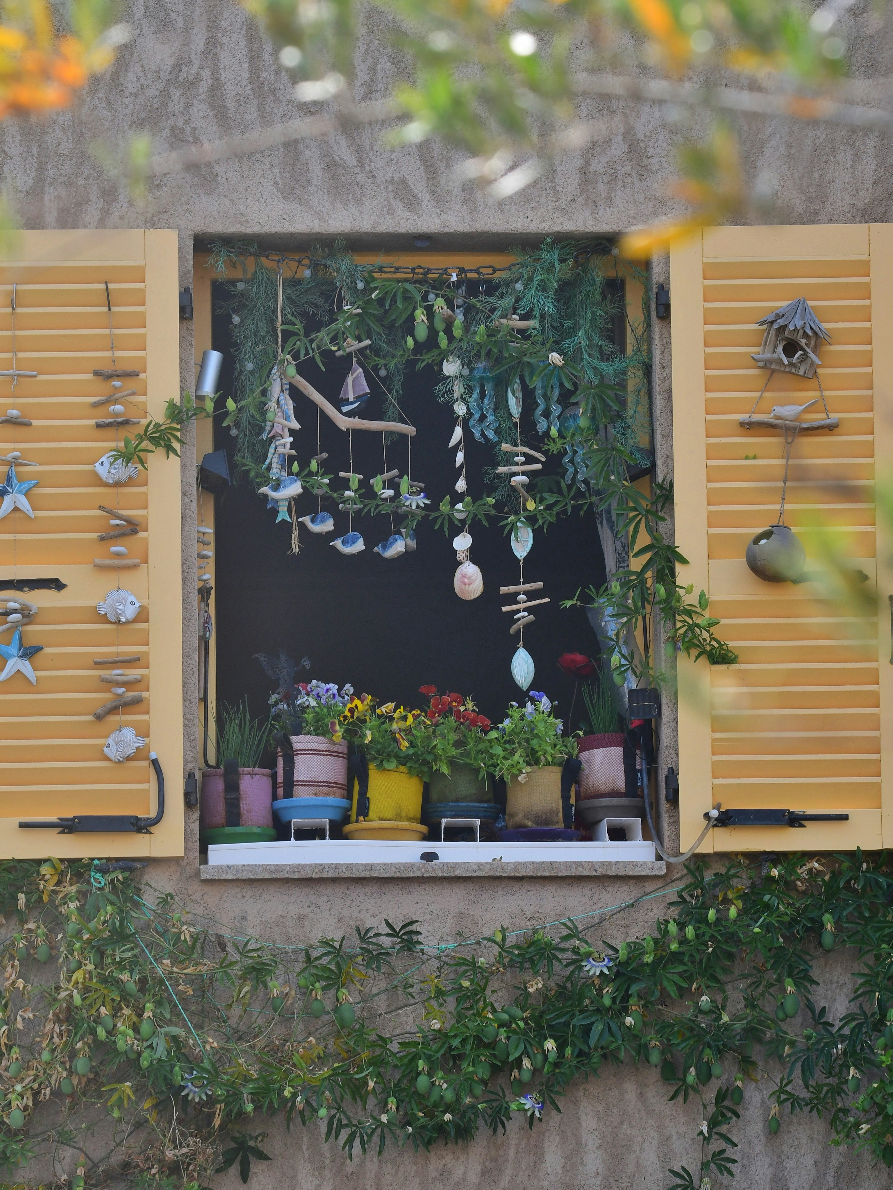 Photo by pedrino5_official