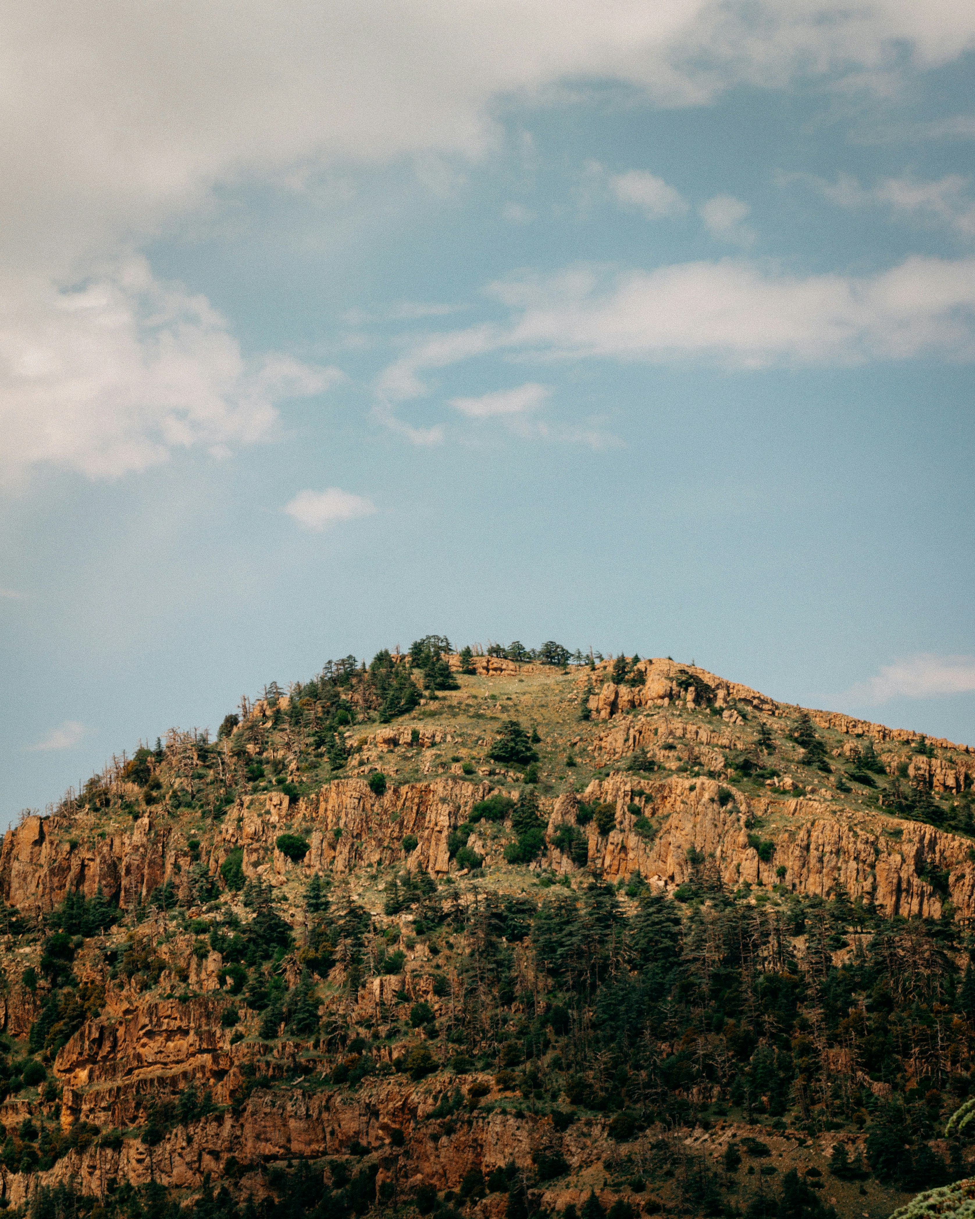 Photo by tomarquize