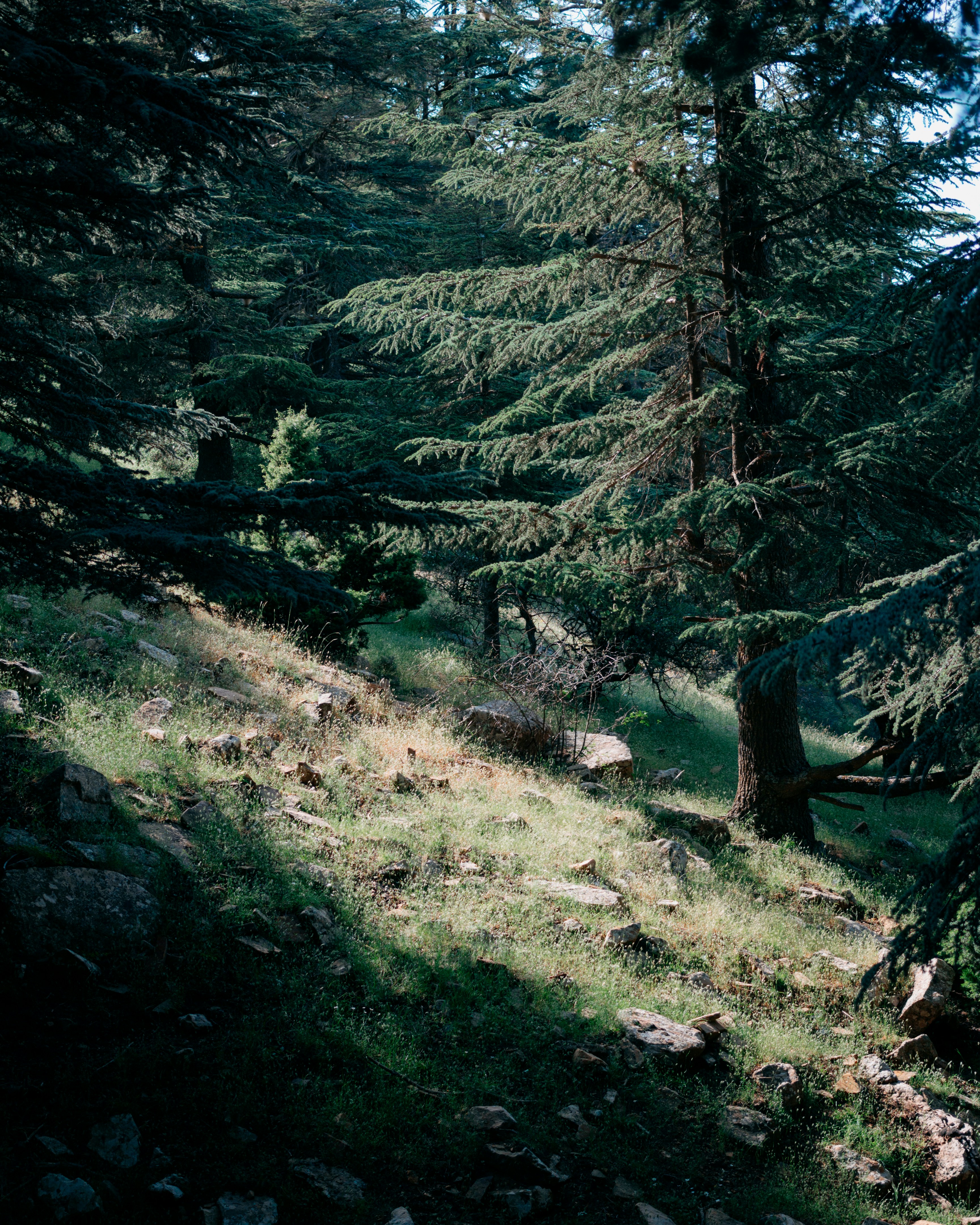 Photo by tomarquize