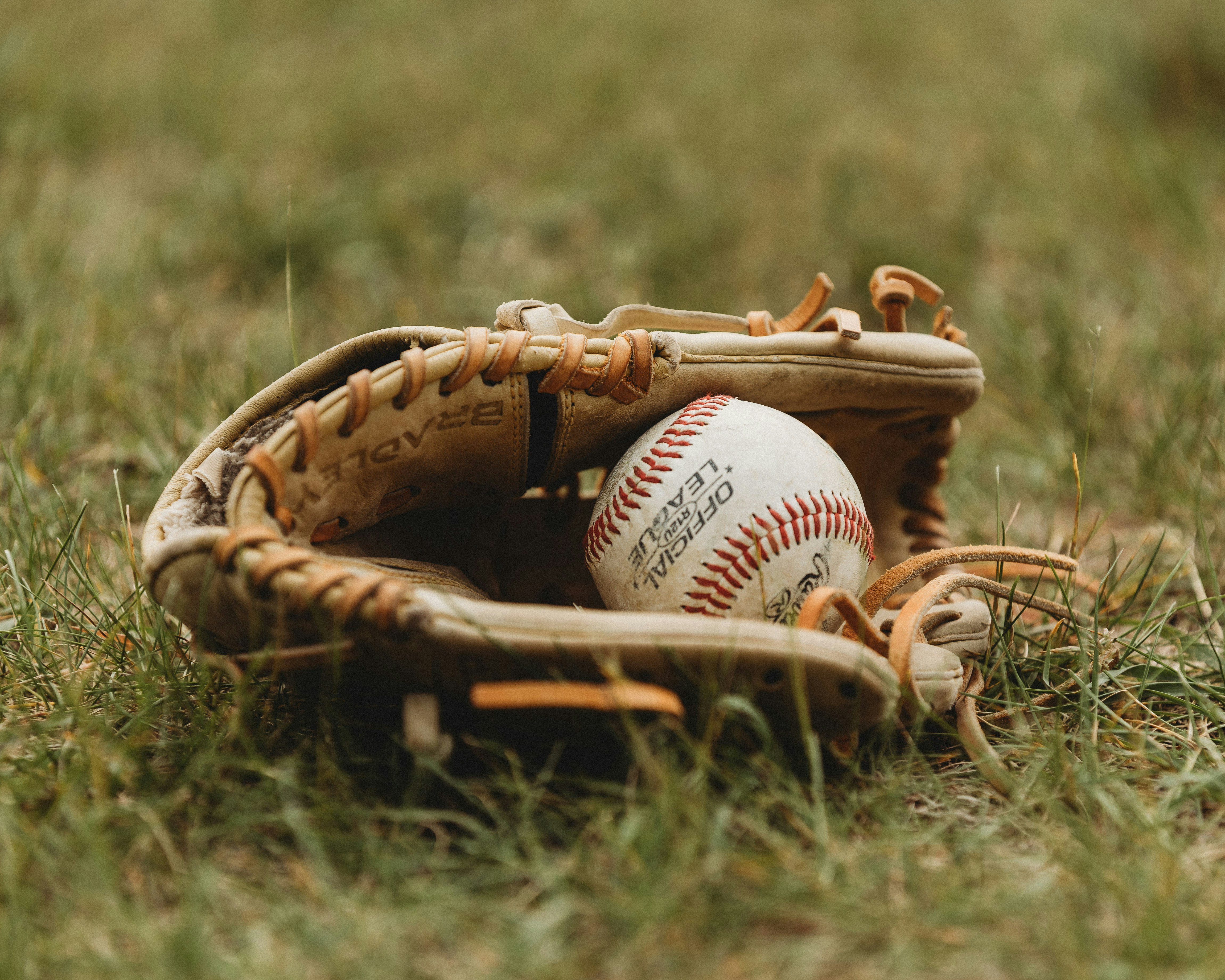 A baseball rests in a mitt on the grass.