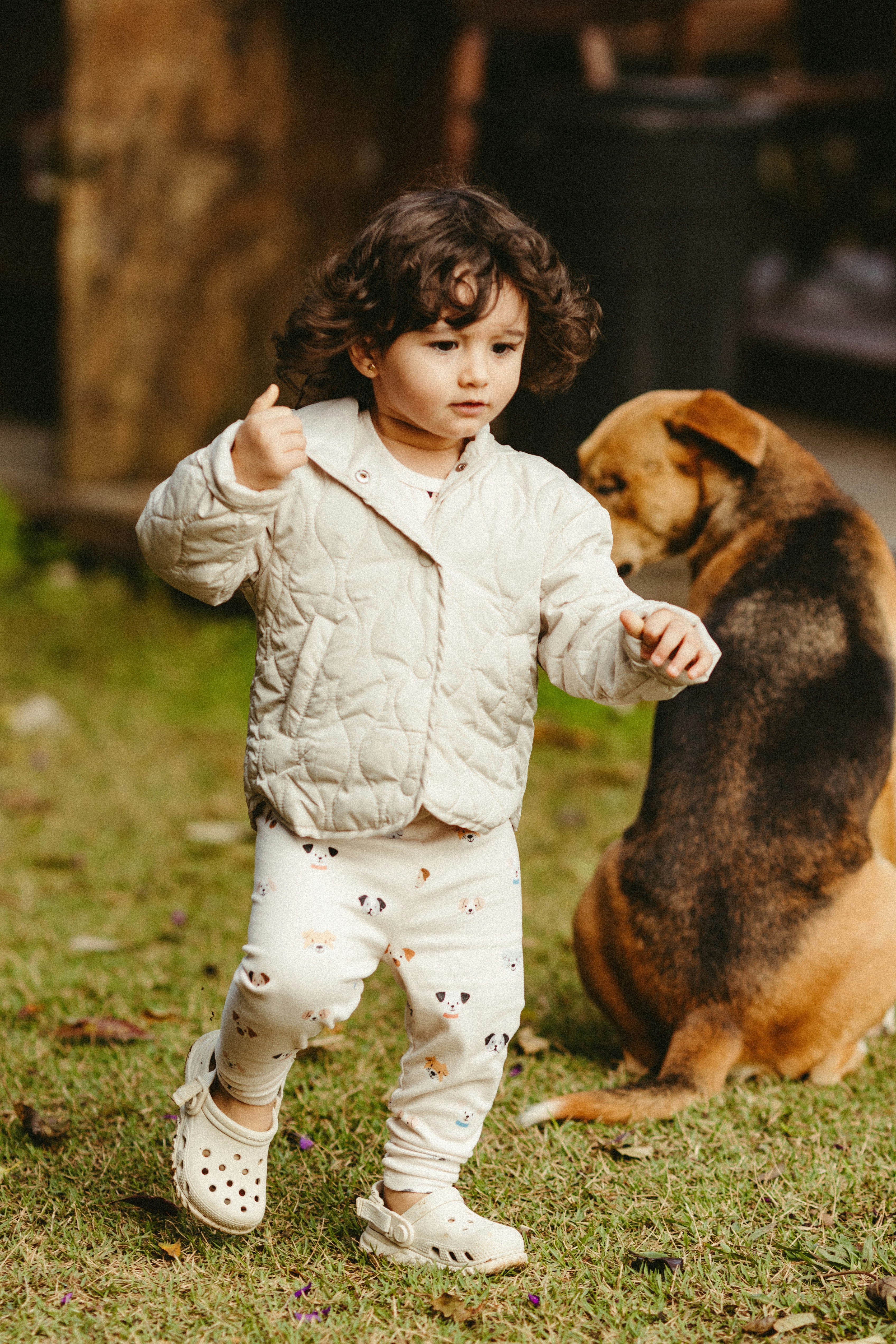 3. Pet Safety Training Sessions (image credits: unsplash)
