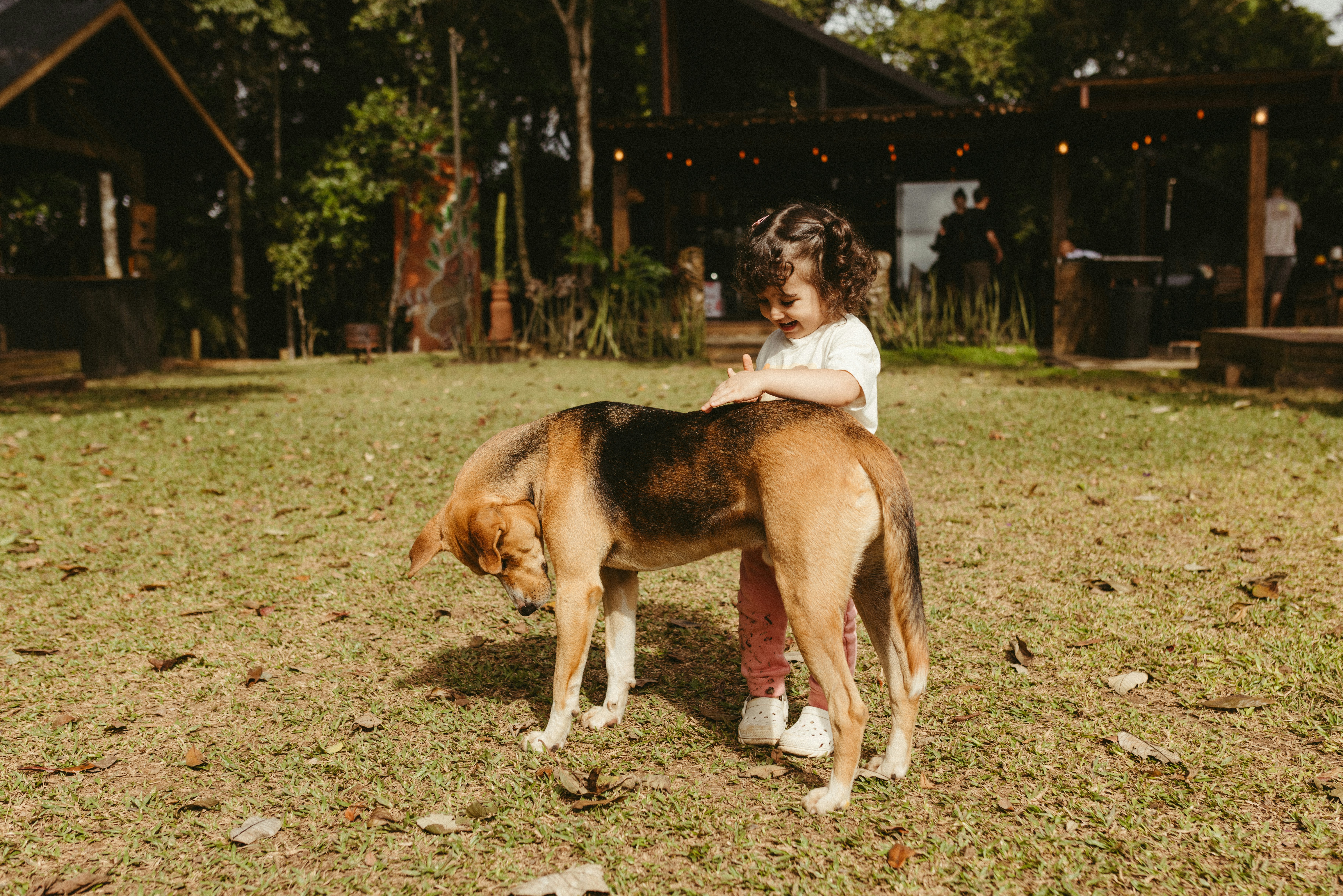 A little girl is petting a dog.