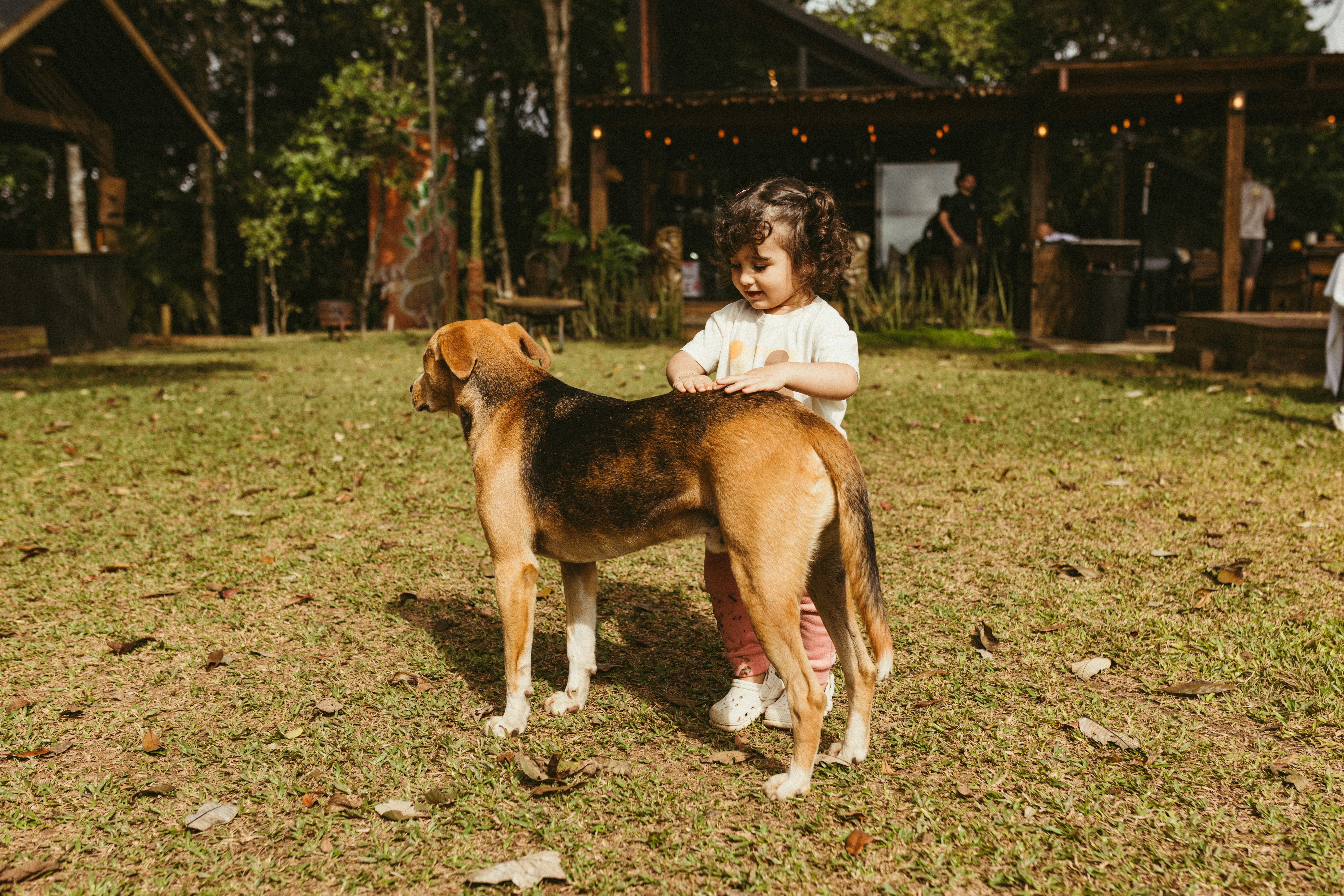 A child pets a dog in a sunny yard.