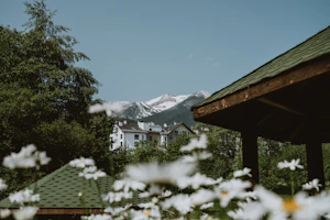 Bansko