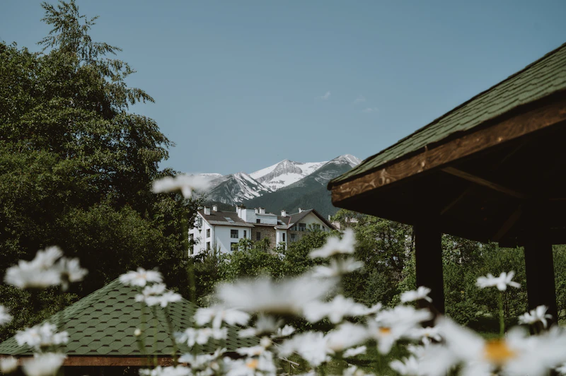 Best Craft Beer Bars in Bansko for Serious Beer Drinkers