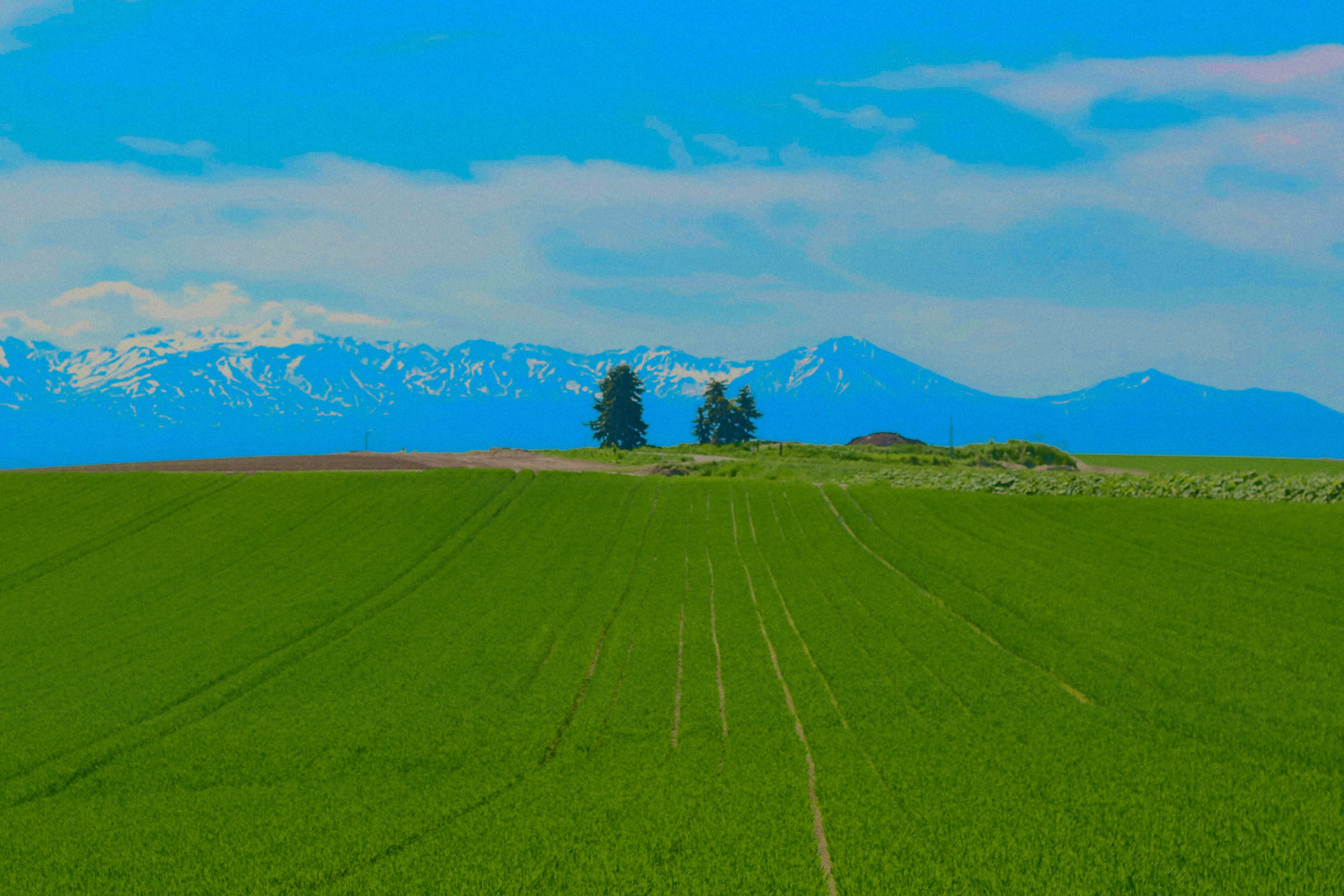 Green field, trees, and snowy mountains under a blue sky.
