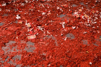 Remains of a firecracker celebration cover the ground.