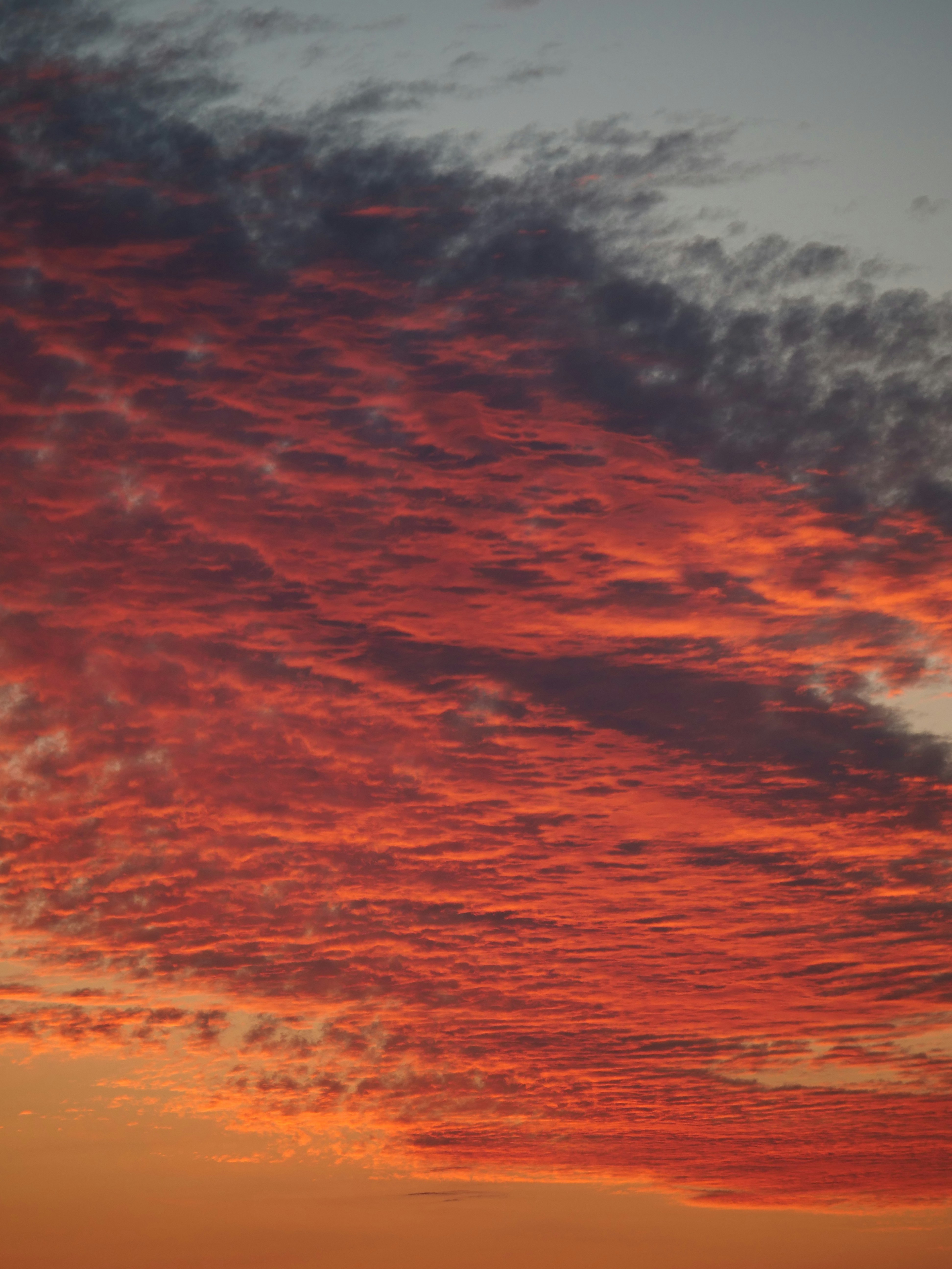 Fiery, crimson clouds paint the sunset sky.