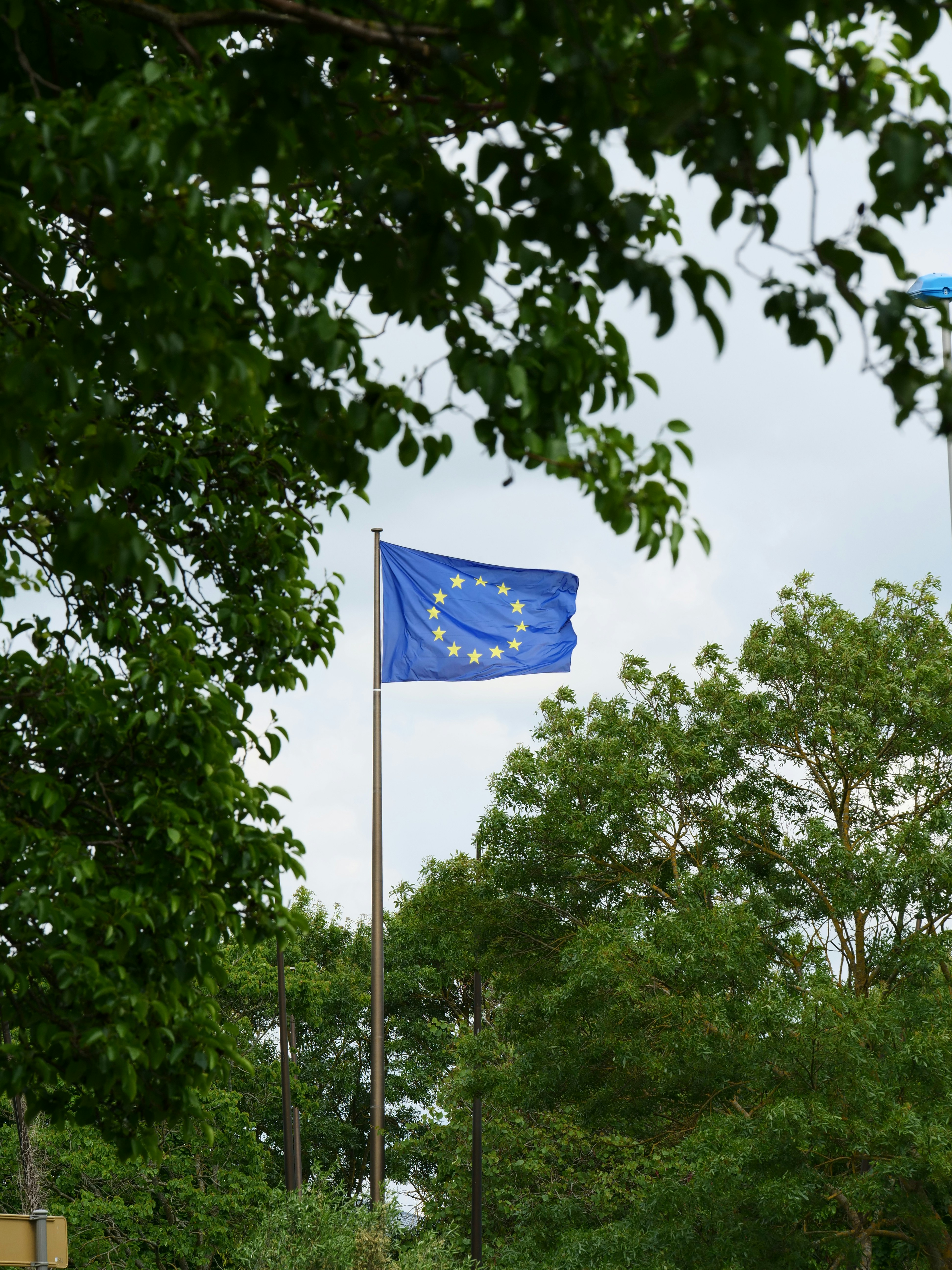 European Union Flag