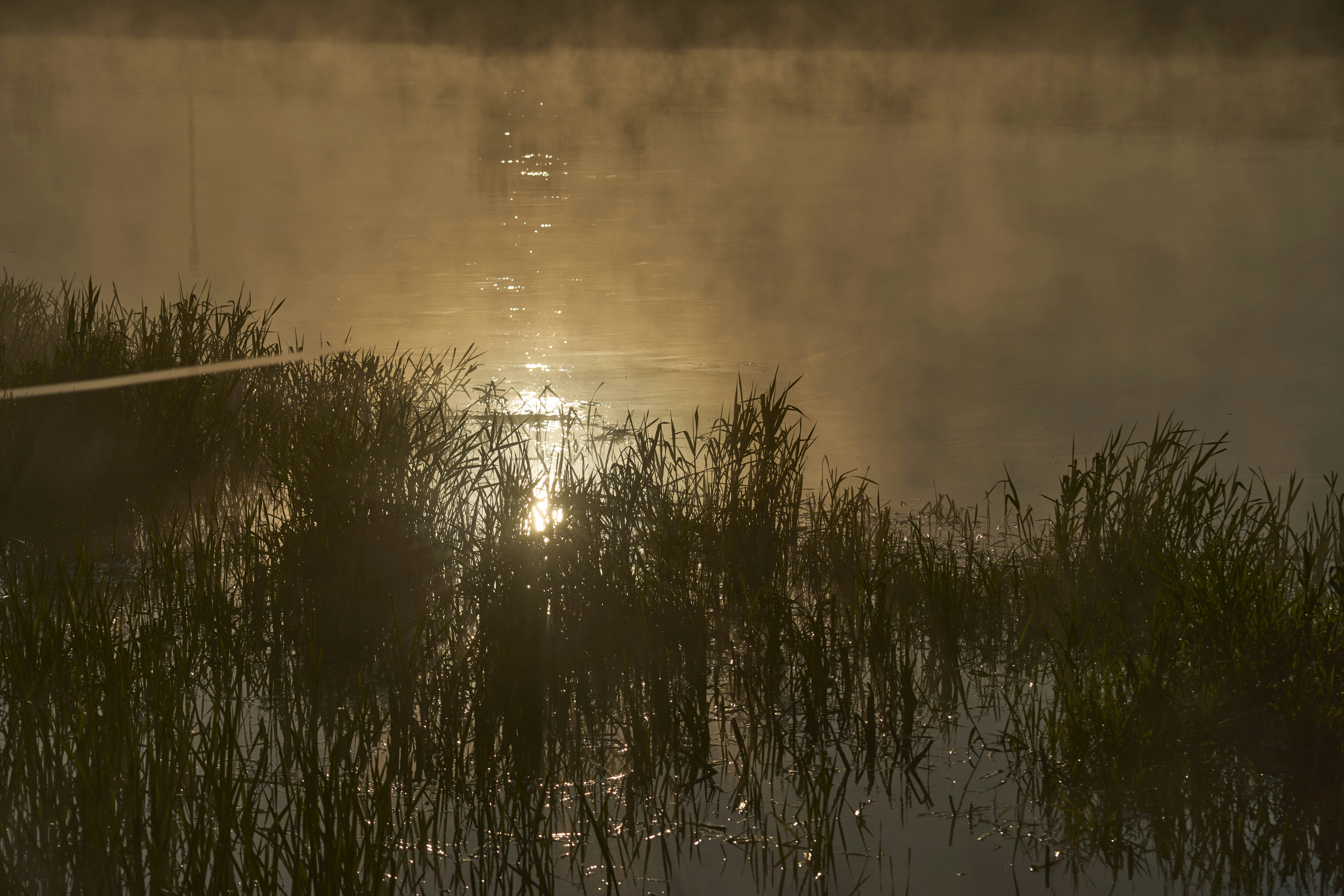 Photo by wolfgang_hasselmann