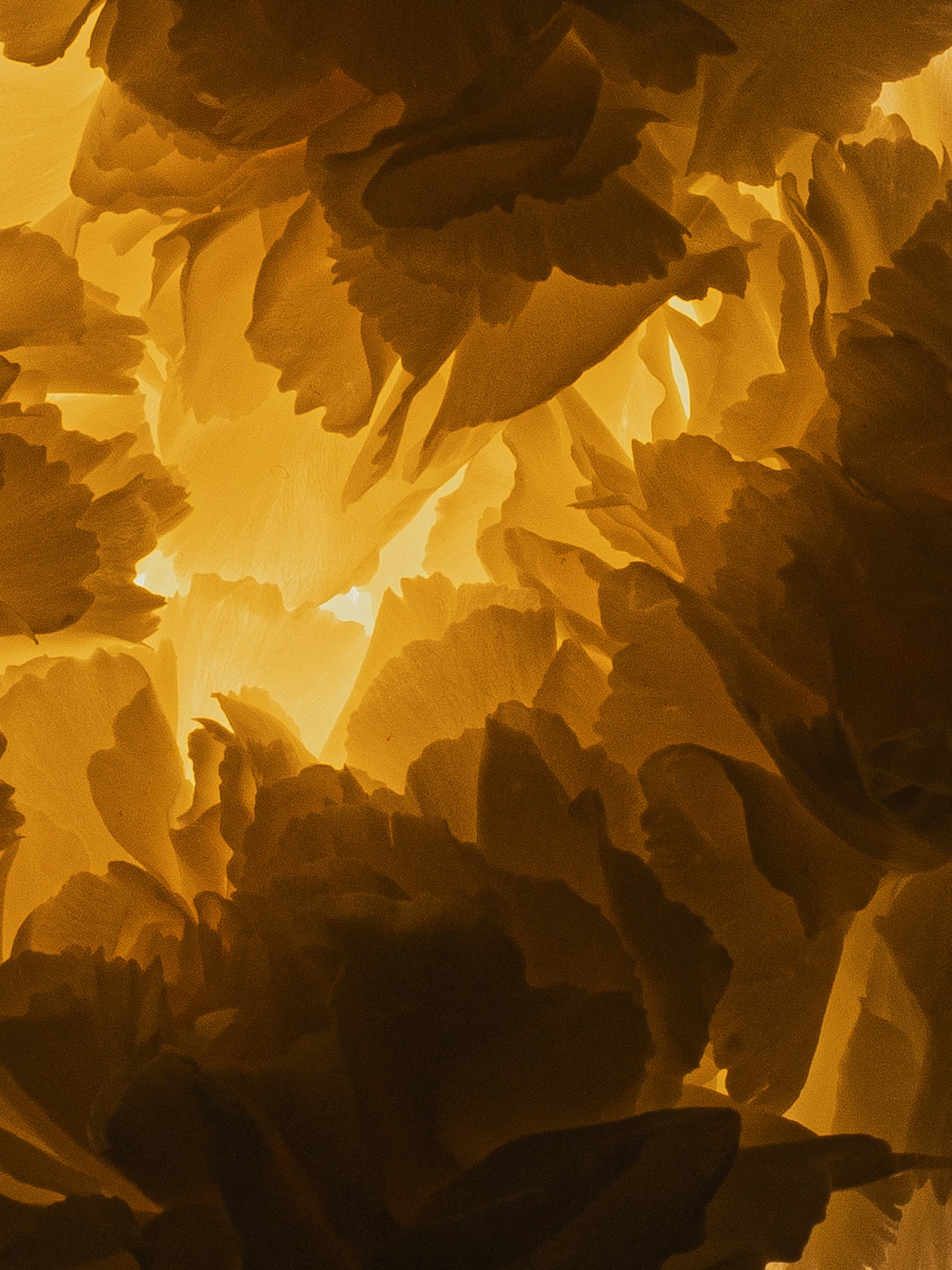 Photo by kasia_koscielniak