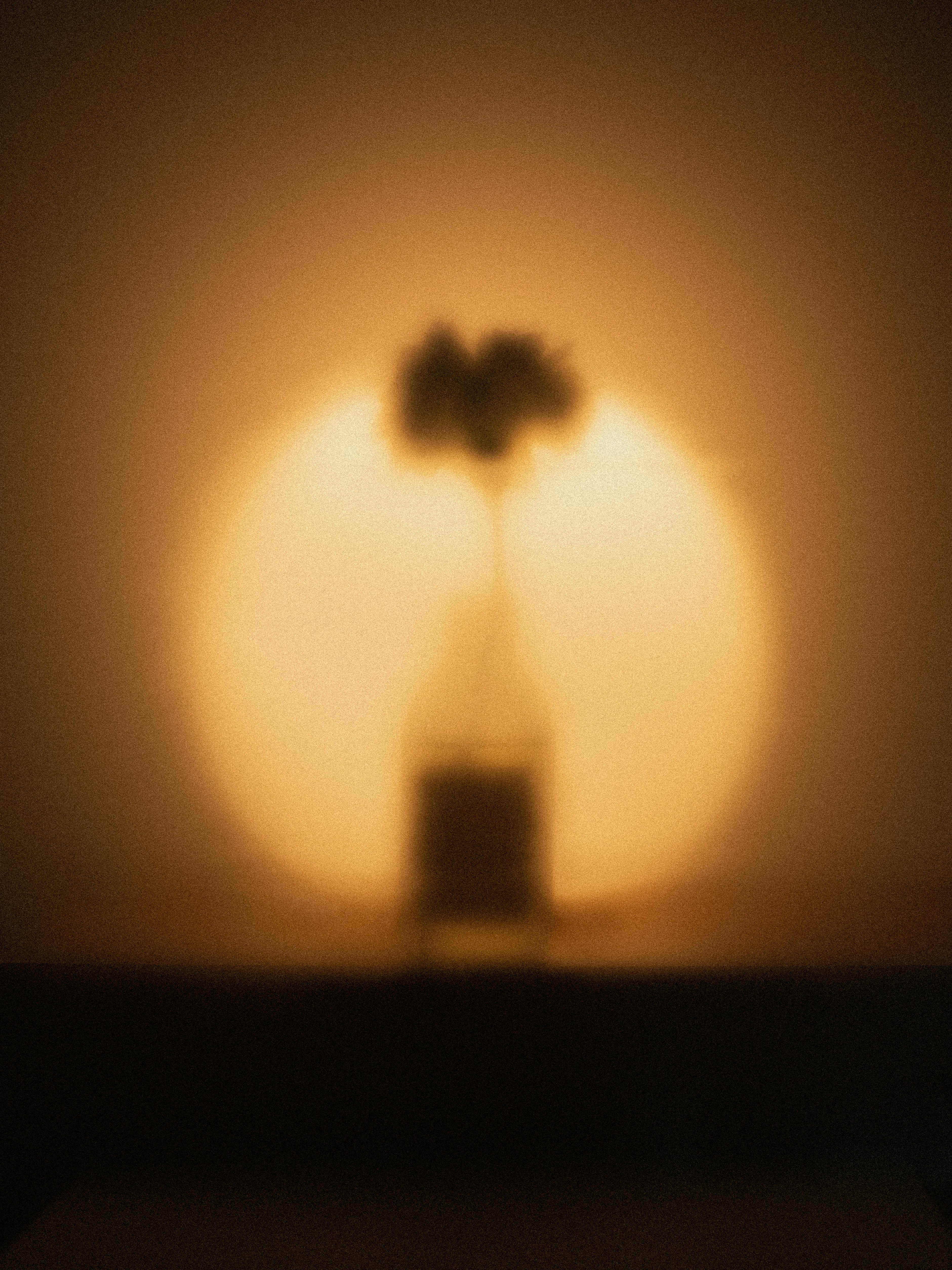 A silhouette of a vase with flowers.