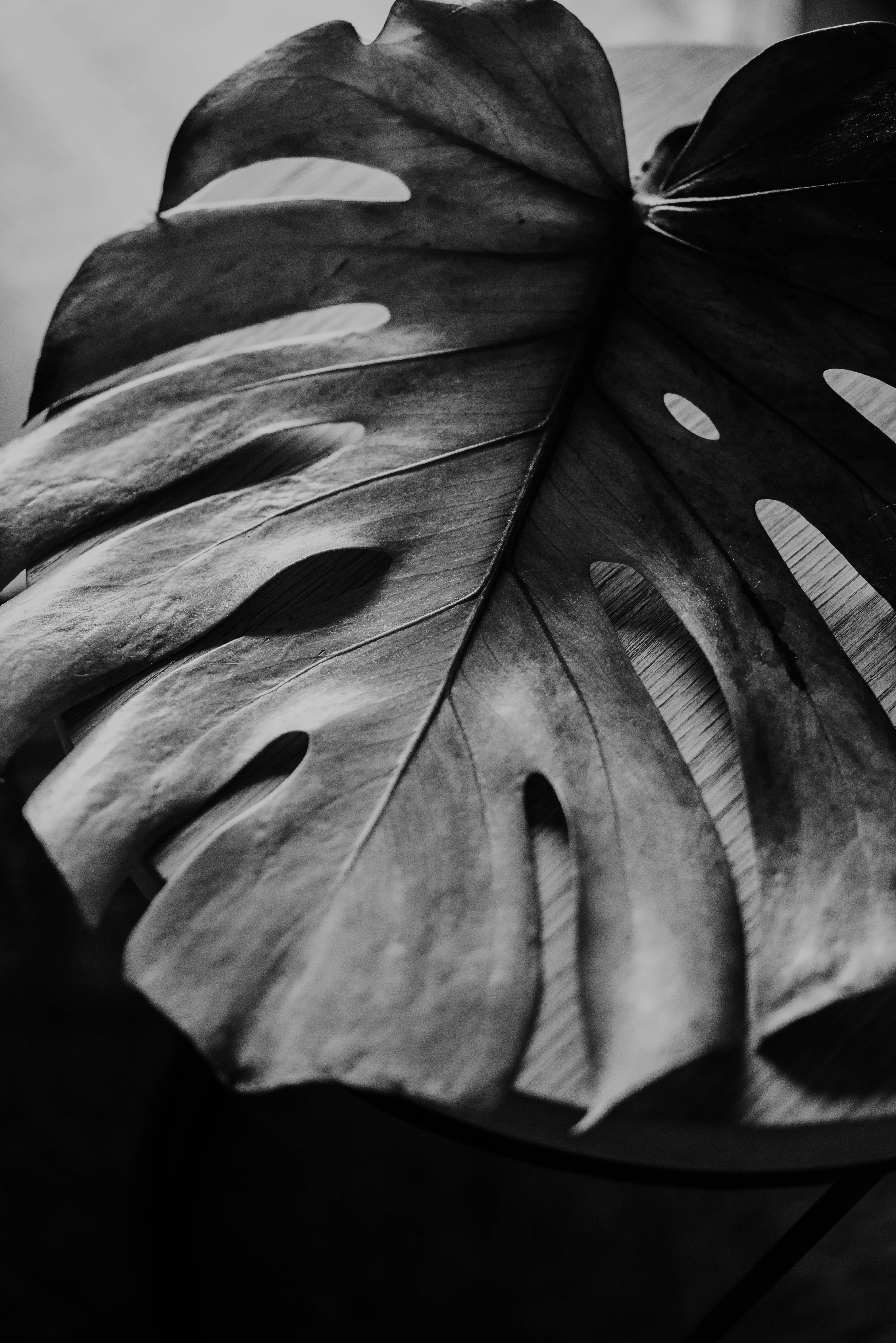 Photo by philhearing