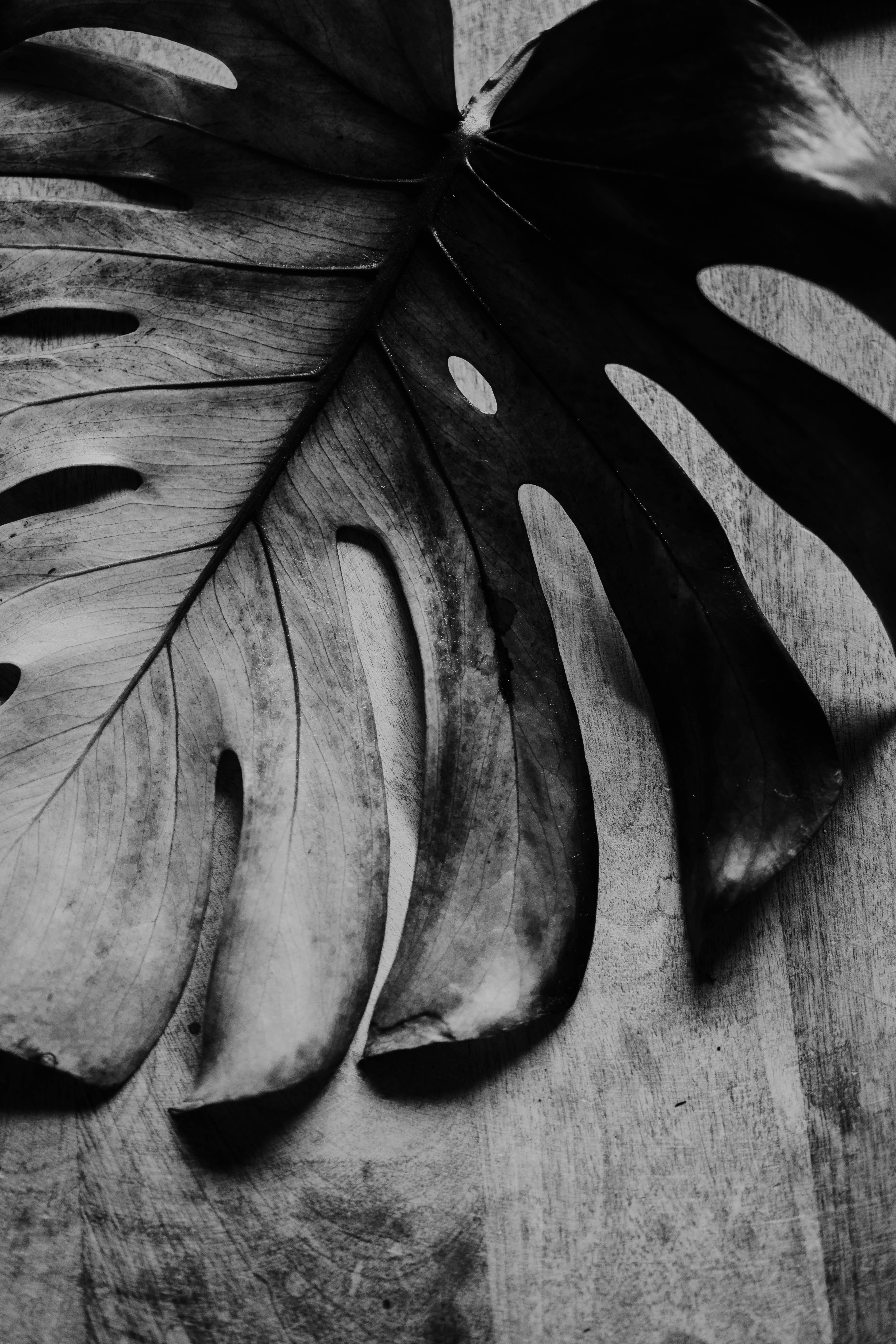 Photo by philhearing