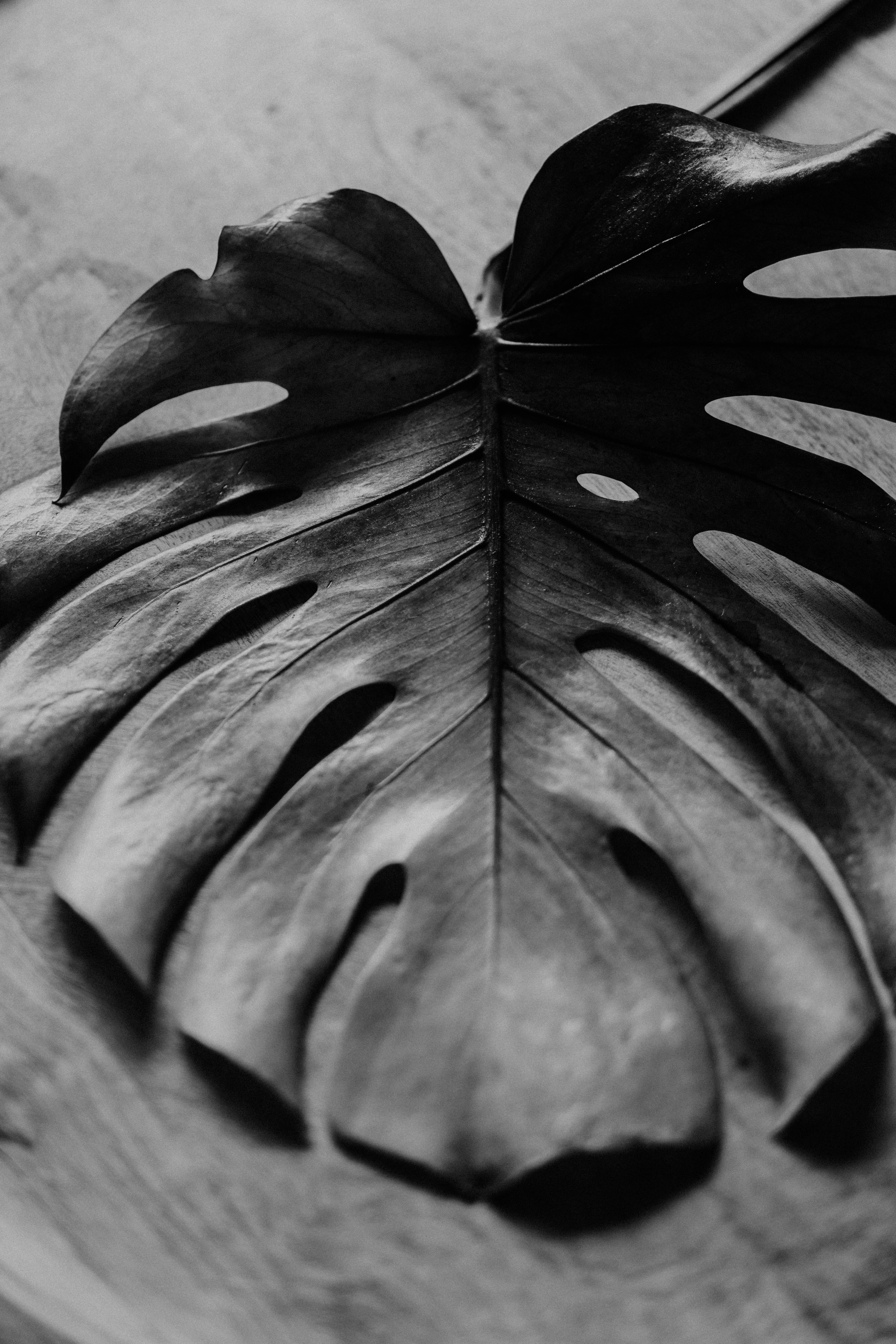 Photo by philhearing