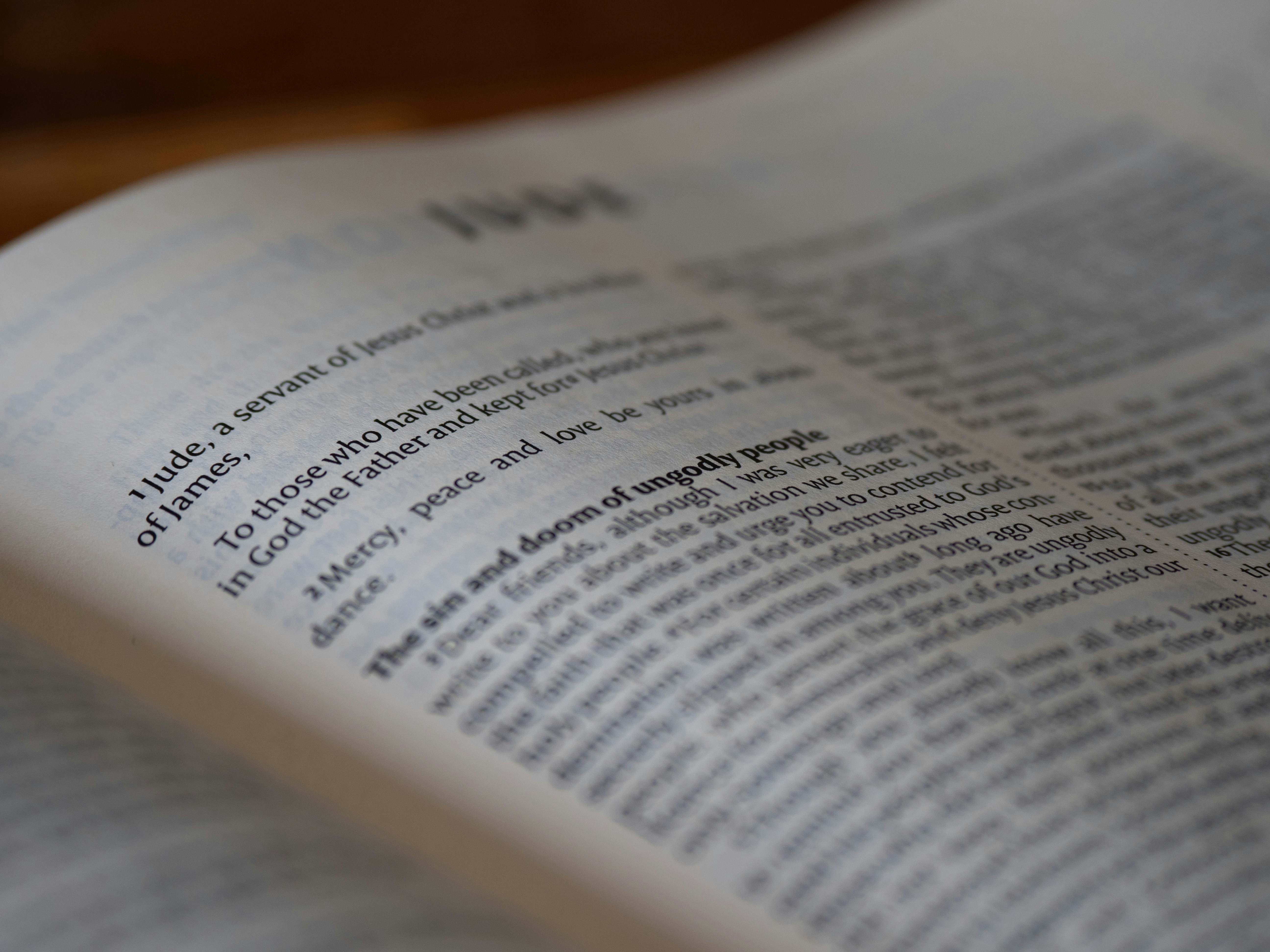 Photo by brett_jordan